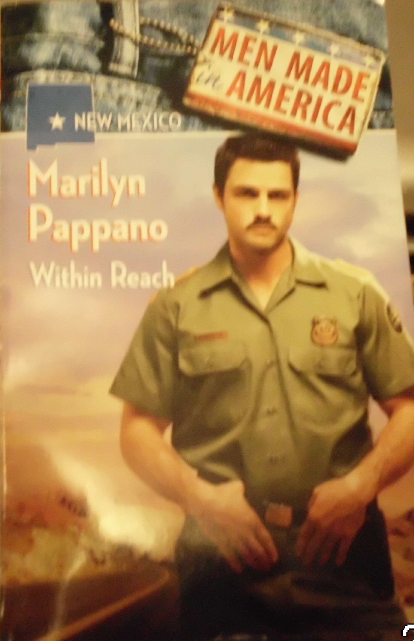 Within Reach (Men Made in America: New Mexico #31) Books