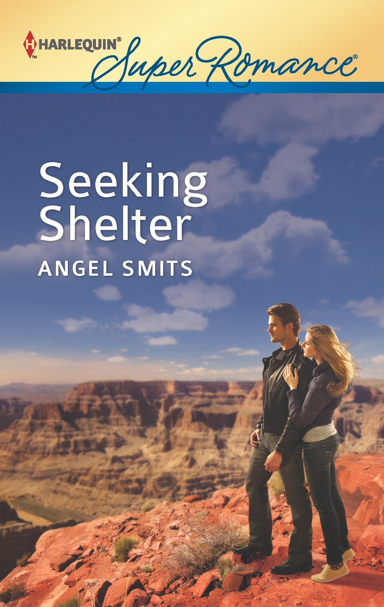 Seeking Shelter (Harlequin Super Romance, Band 1805) Contemporary Romance
