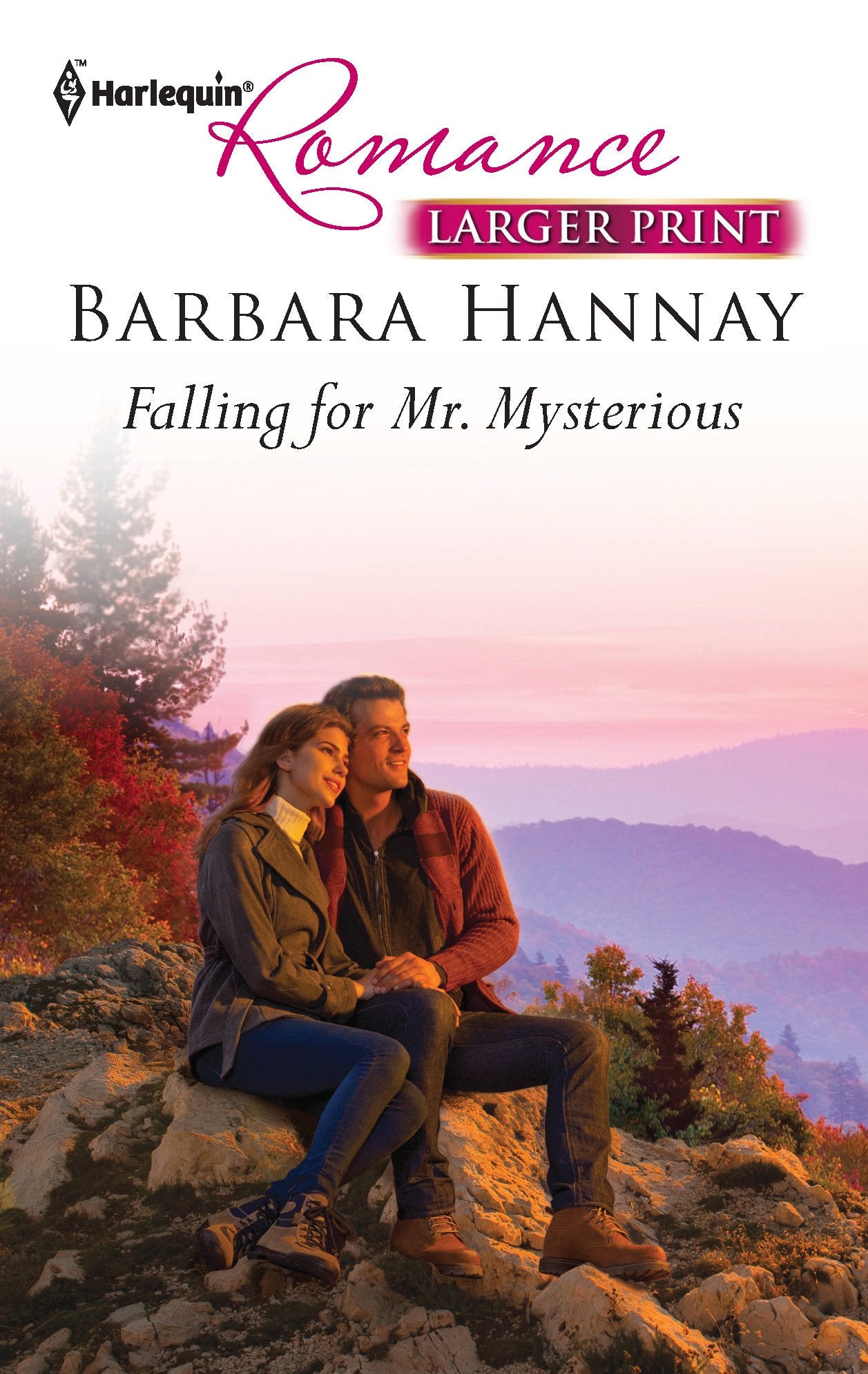 Falling for Mr. Mysterious (Harlequin Romance, Band 4304) Contemporary Romance