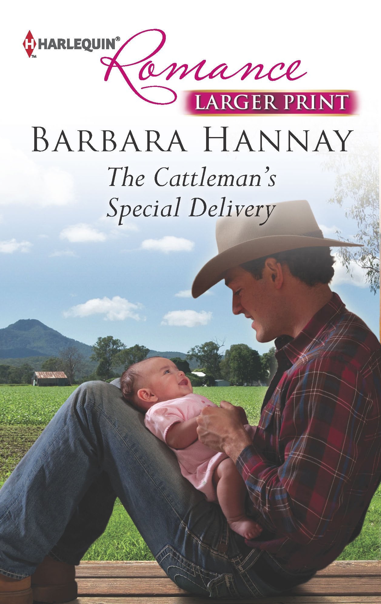 The Cattleman's Special Delivery (Harlequin Romance, Band 4349) Contemporary literature