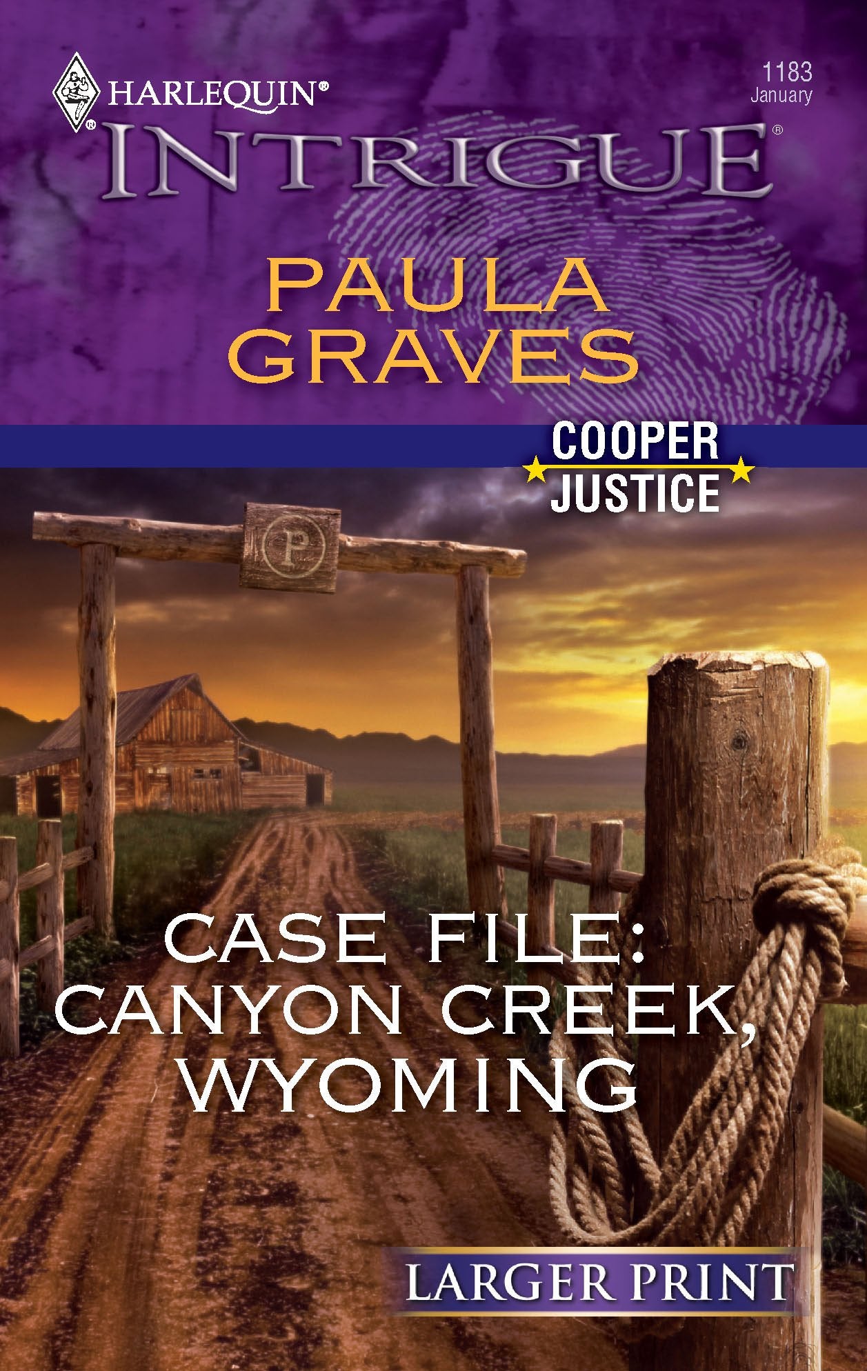 Case File: Canyon Creek, Wyoming (Cooper Justice, 1, Band 1183) Contemporary literature