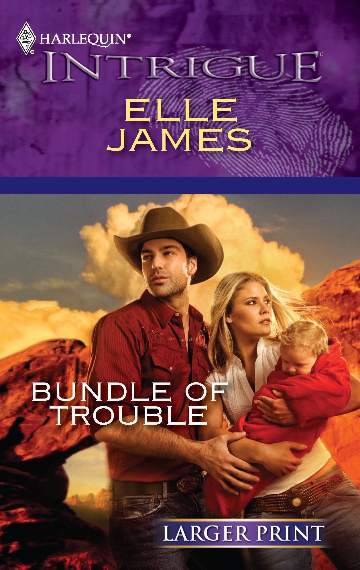 Bundle of Trouble (Larger Print Harlequin Intrigue, Band 1226) Contemporary literature