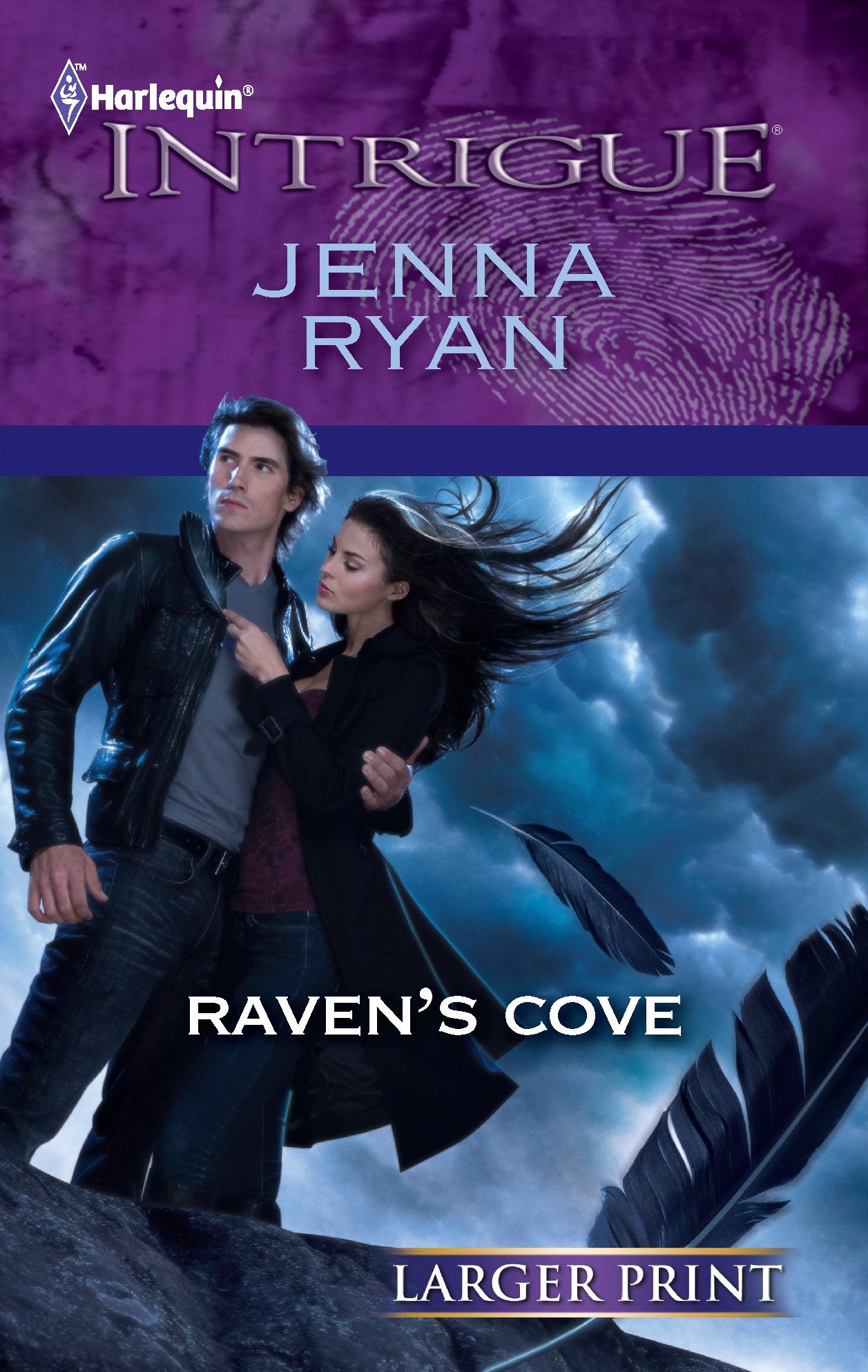 Raven's Cove (Harlequin Intrigue, Band 1346) Romantic Thrillers