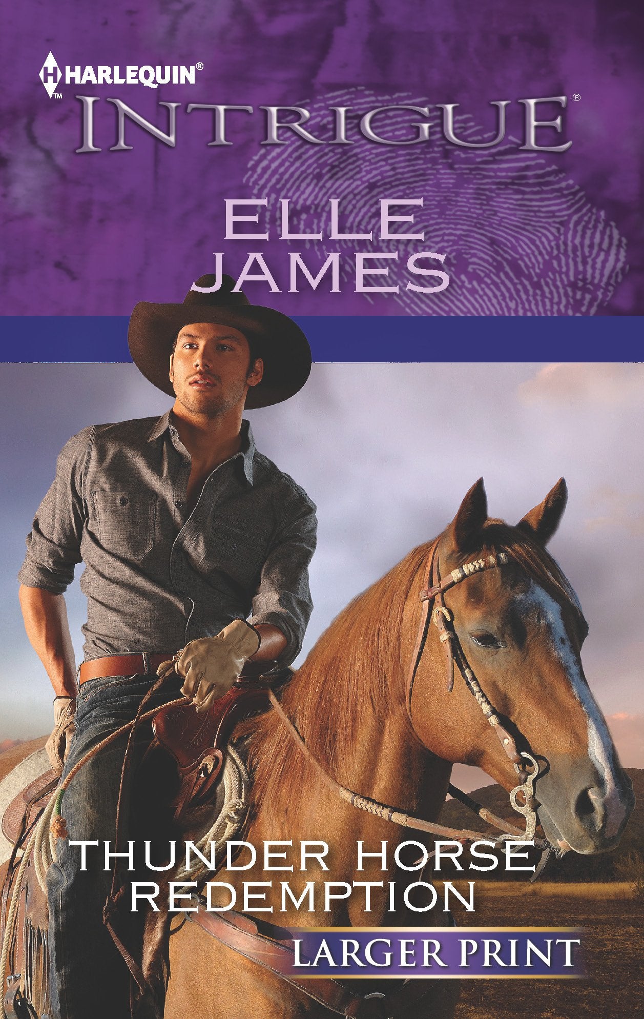 Thunder Horse Redemption (Harlequin Intrigue, 1382, Band 1382) Romantic Thrillers