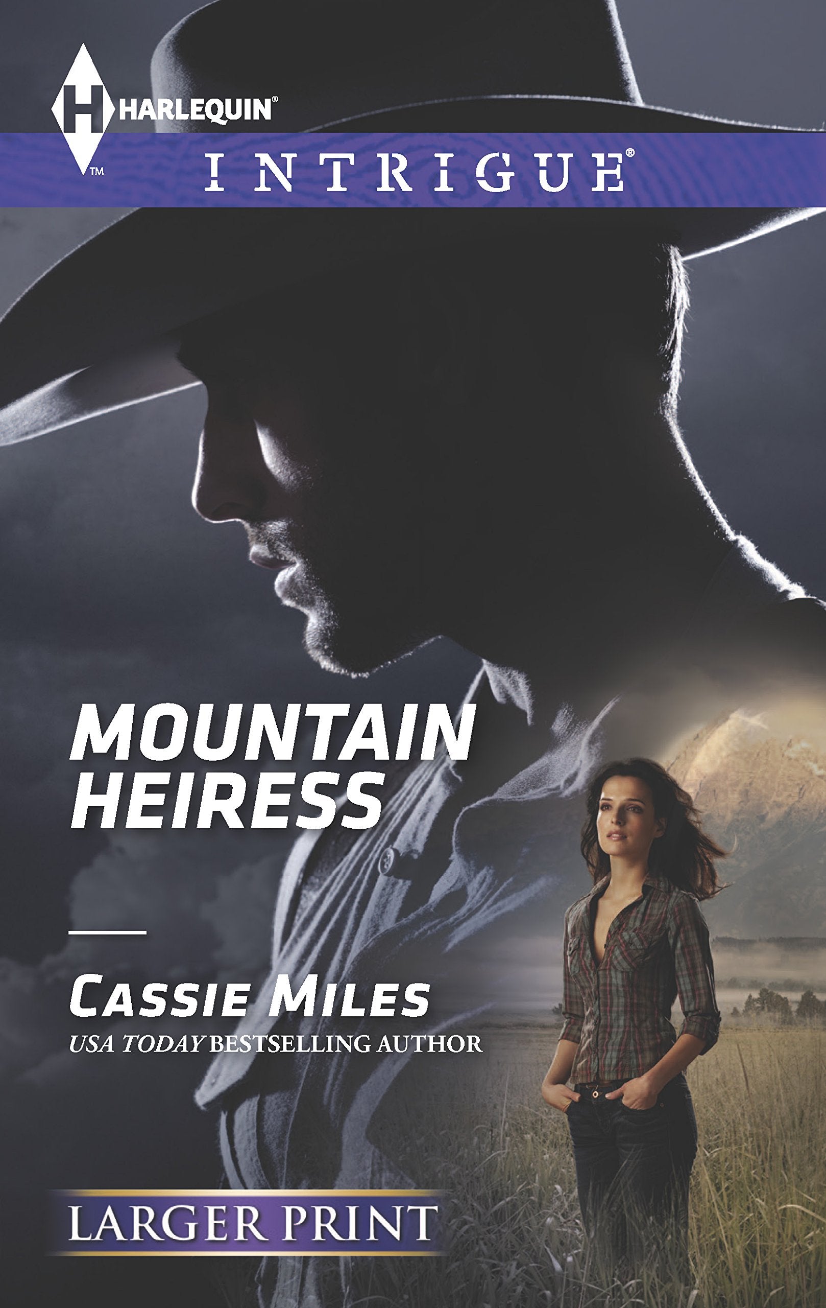 Mountain Heiress (Harlequin Intrigue, Band 1454) Contemporary Romance