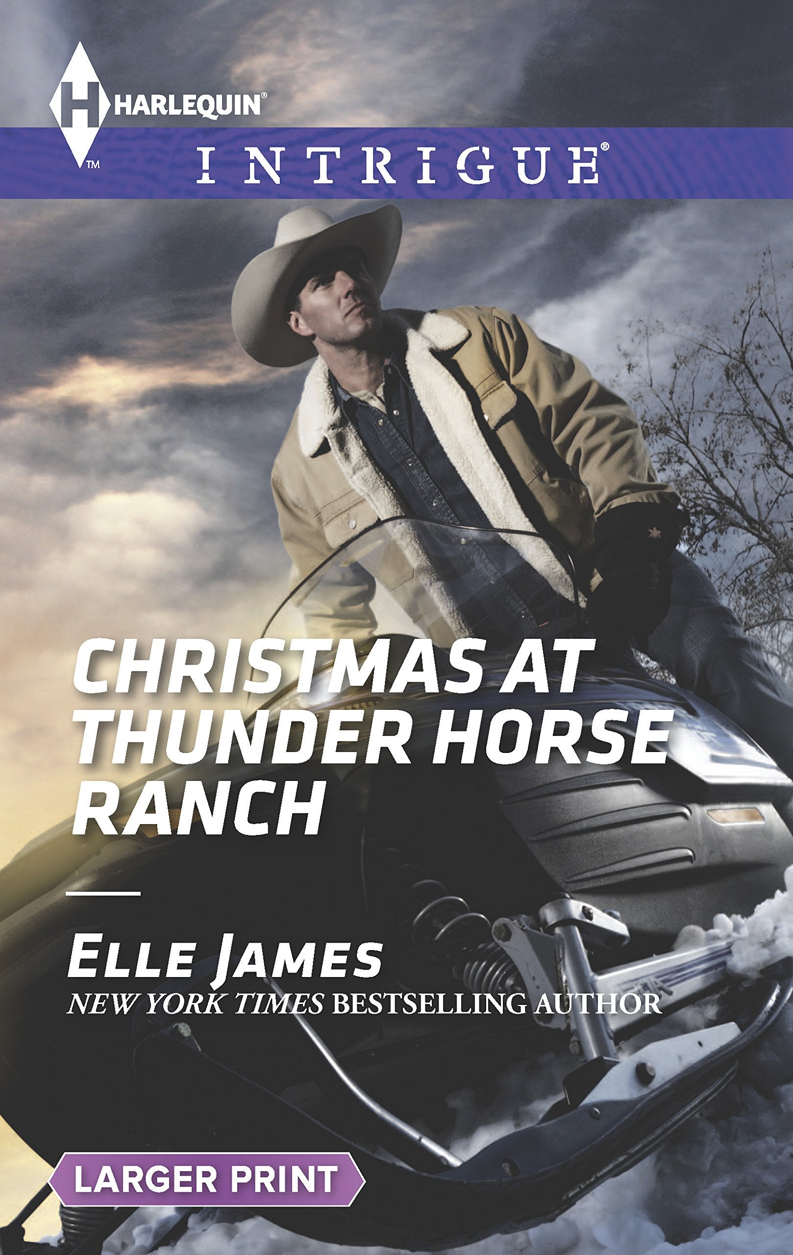 Christmas at Thunder Horse Ranch (Harlequin Intrigue, Band 1525) Action & Adventure