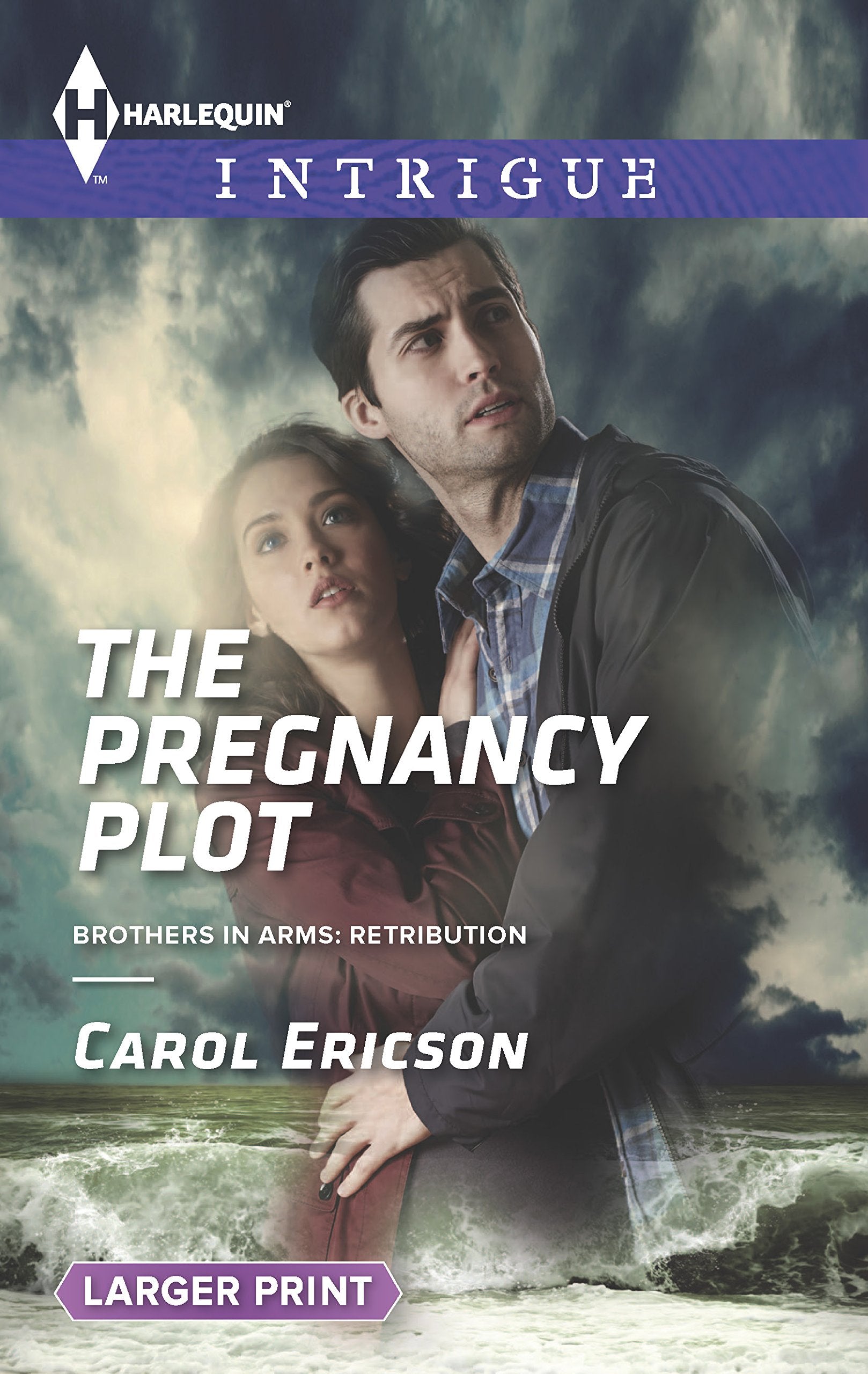 The Pregnancy Plot (Brothers in Arms: Retribution, 2, Band 1584) Action & Adventure