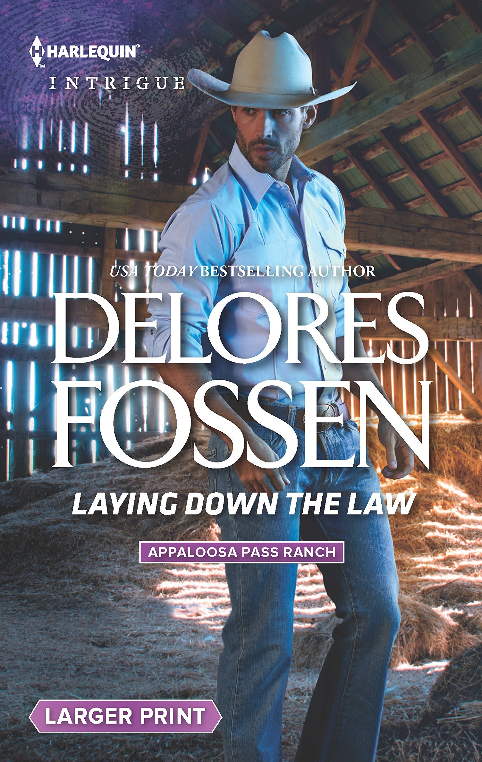 Laying Down the Law (Appaloosa Pass Ranch, 6, Band 6) Action & Adventure