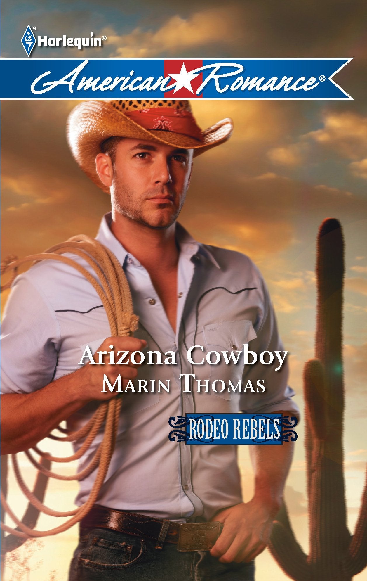 Arizona Cowboy (Rodeo Rebels, 4, Band 1389) Contemporary literature