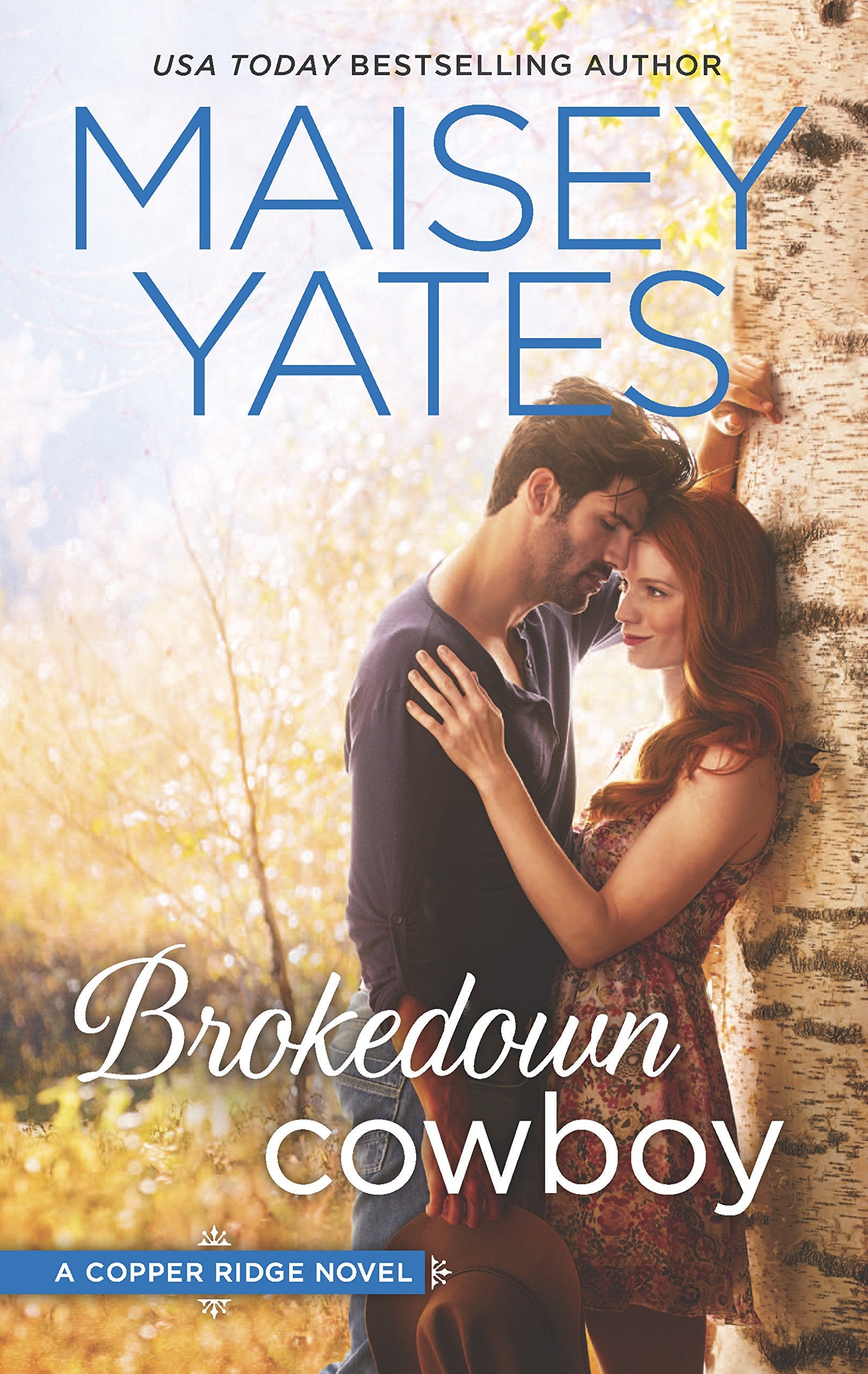 Brokedown Cowboy (Copper Ridge, 2) Contemporary literature