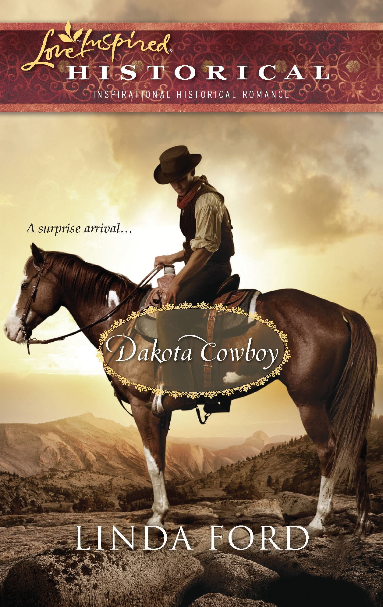 Dakota Cowboy (Steeple Hill Love Inspired Historical) Religion & Esotericism