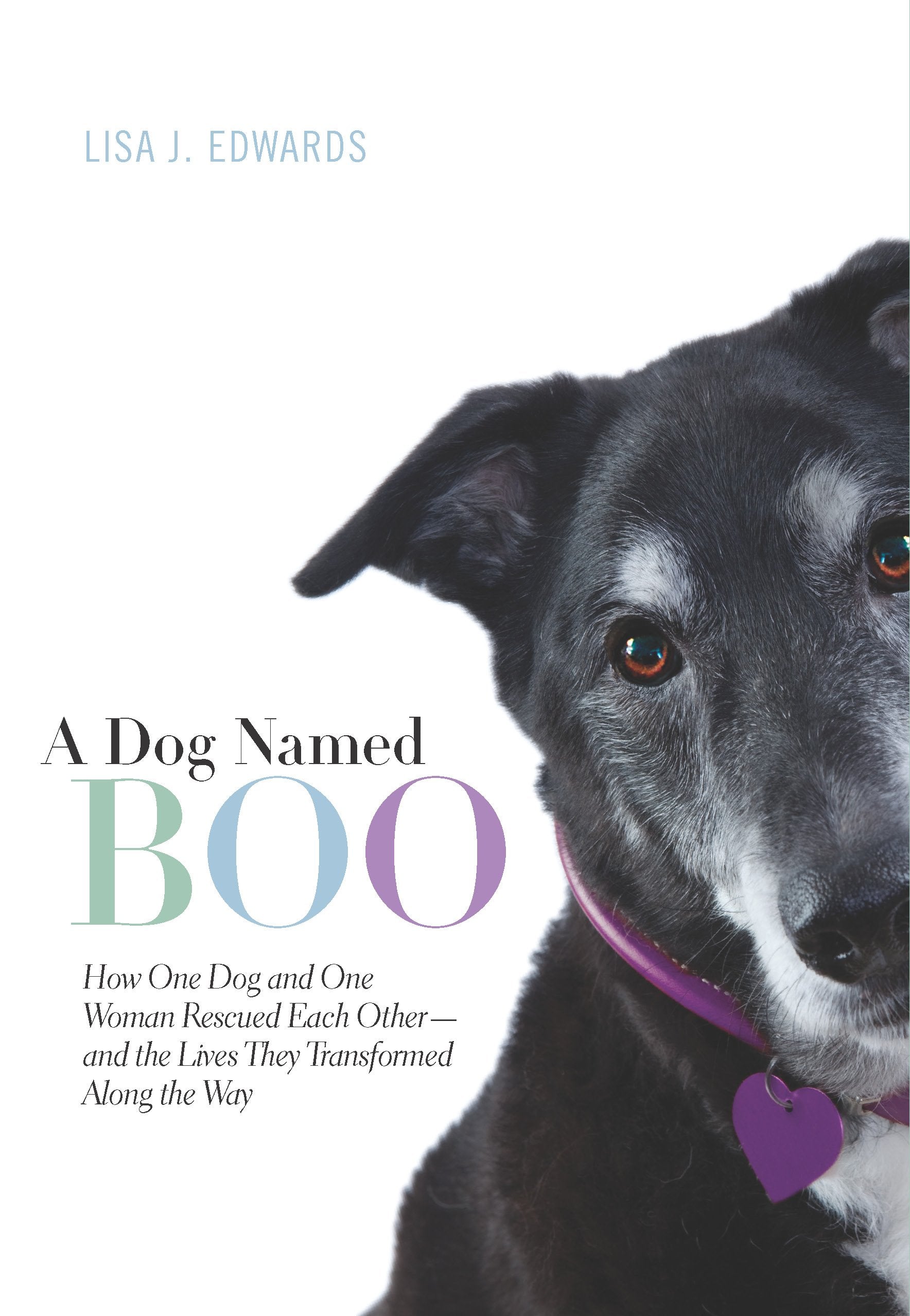 A Dog Named Boo: How One Dog and One Woman Rescued Each Other-and the Lives They Transformed Along the Way Art & Literature Books