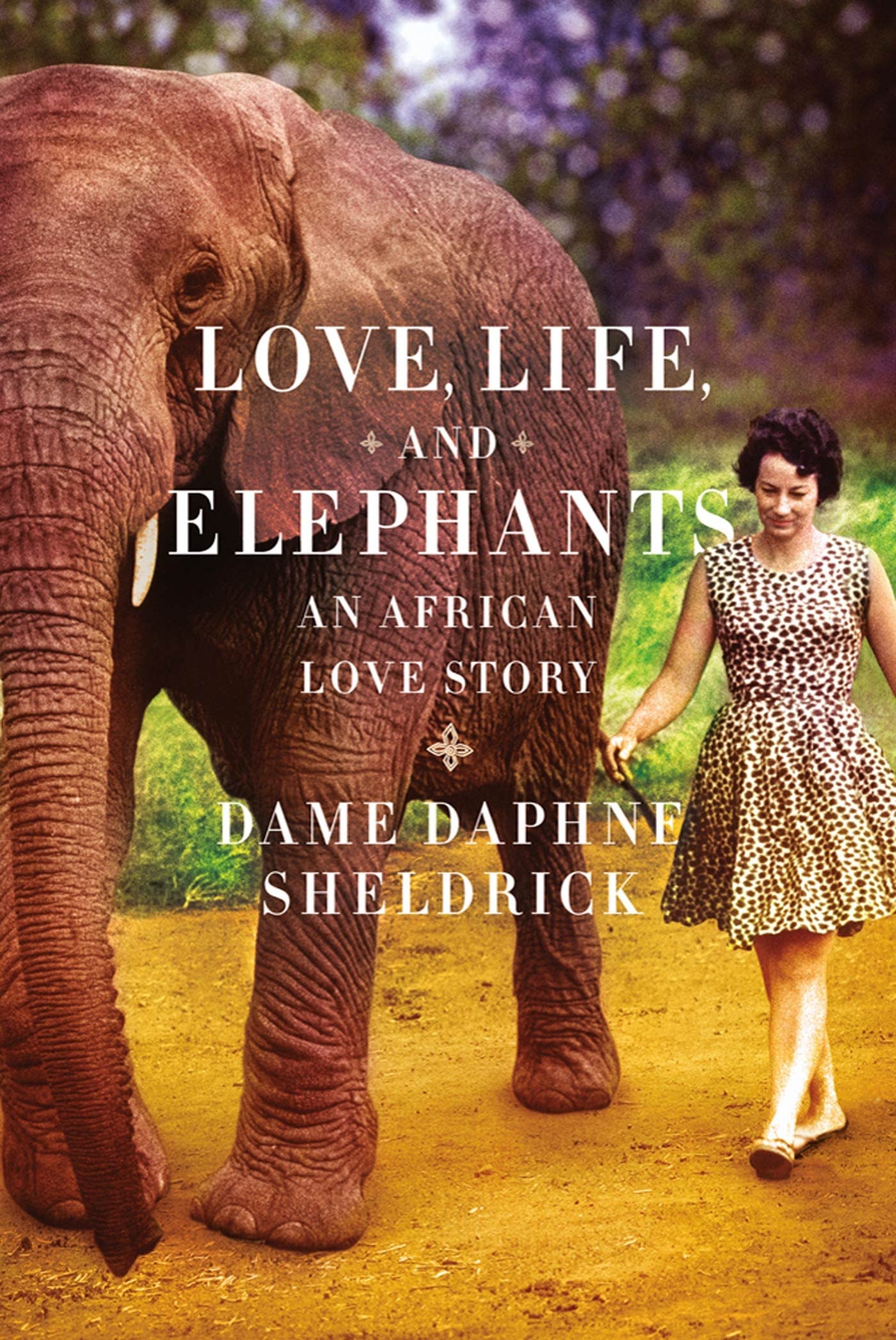 Love, Life, and Elephants: An African Love Story Sports