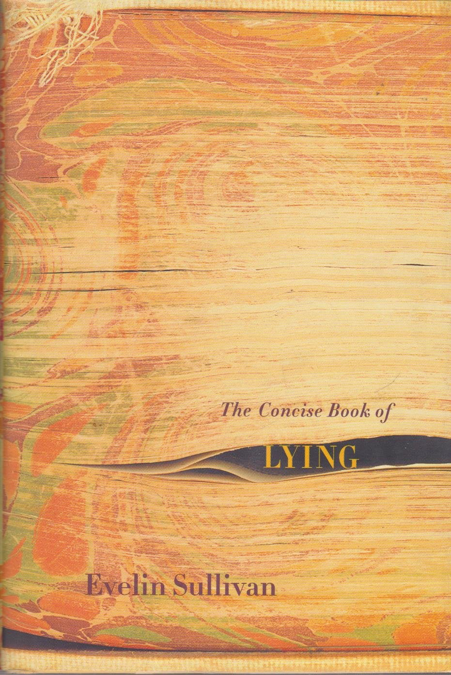 The Concise Book of Lying Philosophy Books