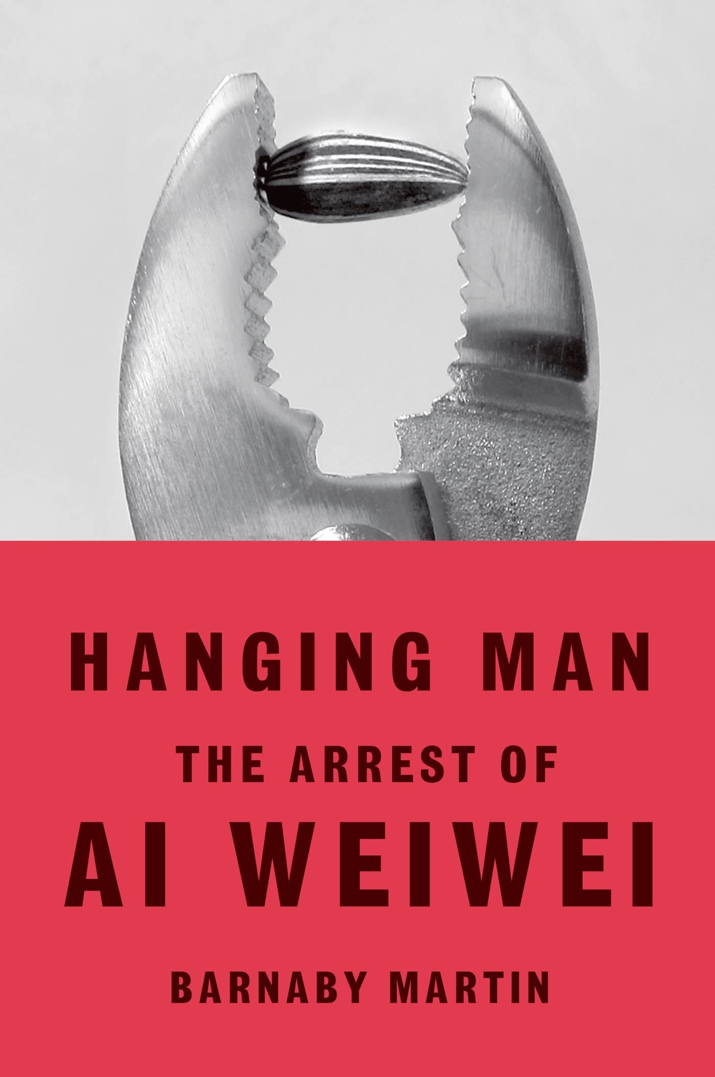 Hanging Man: The Arrest of Ai Weiwei Art & Literature