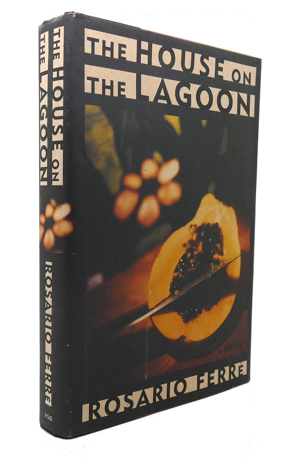 The House on the Lagoon Contemporary literature