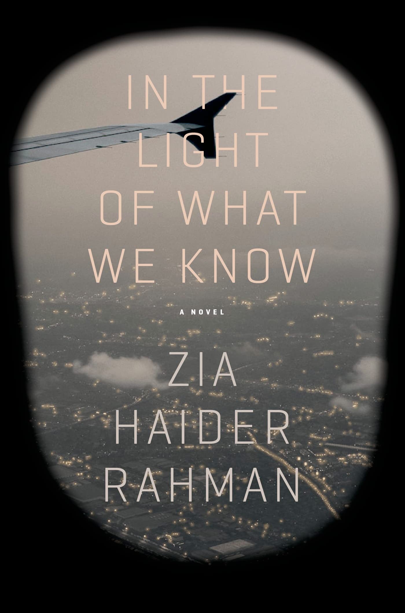 In the Light of What We Know Historical Fiction