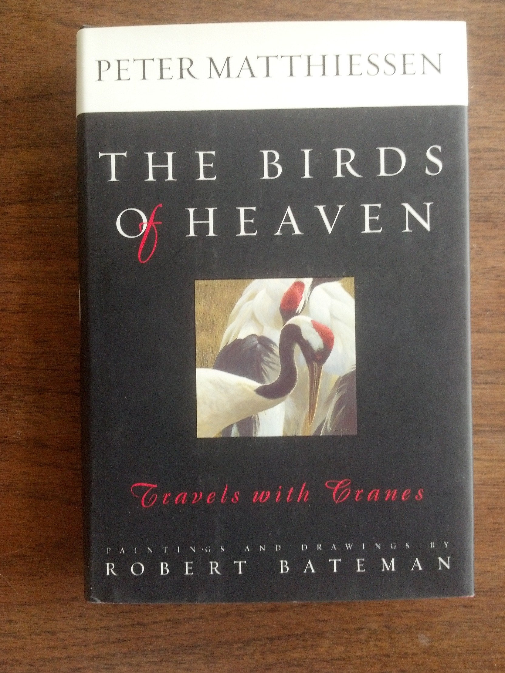 The Birds of Heaven: Travels With Cranes Mathematics