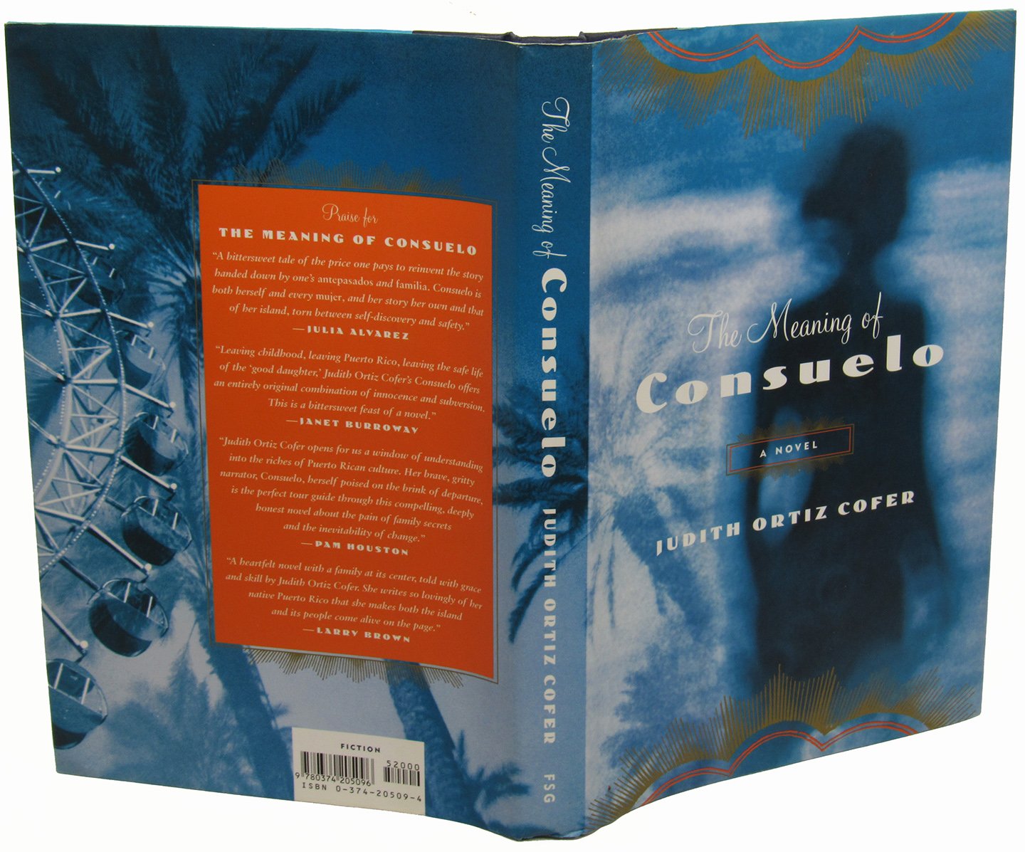 The Meaning of Consuelo Contemporary literature