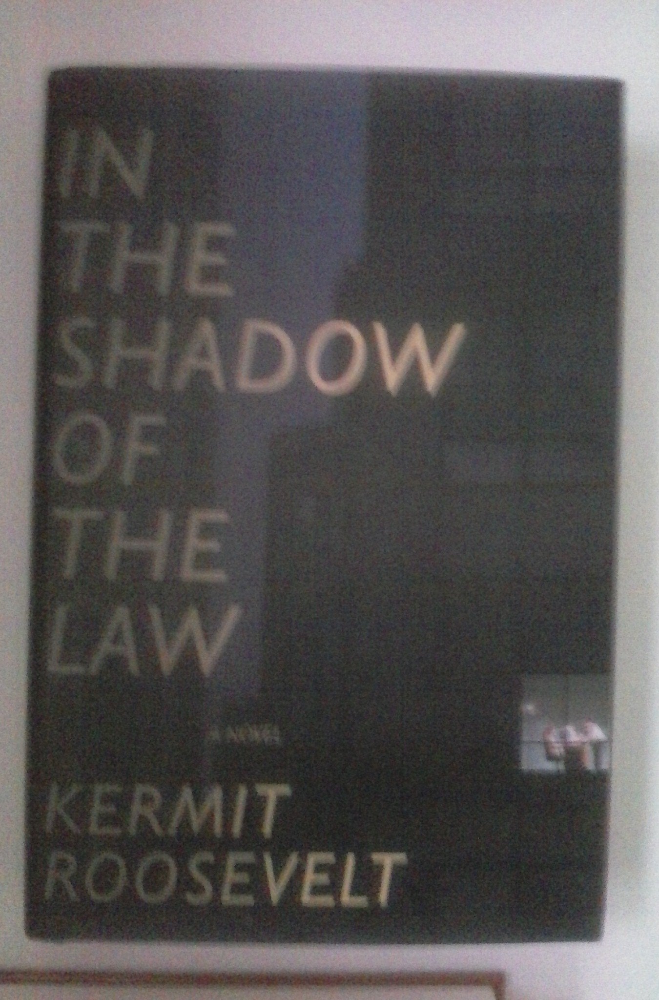 In The Shadow Of The Law Contemporary literature