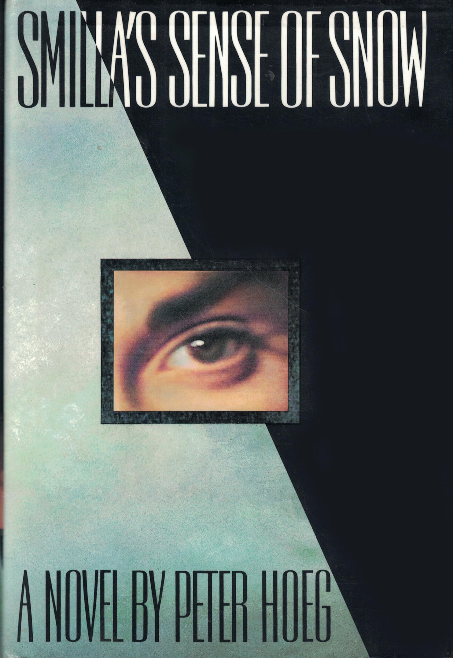 Smilla's Sense of Snow Contemporary literature