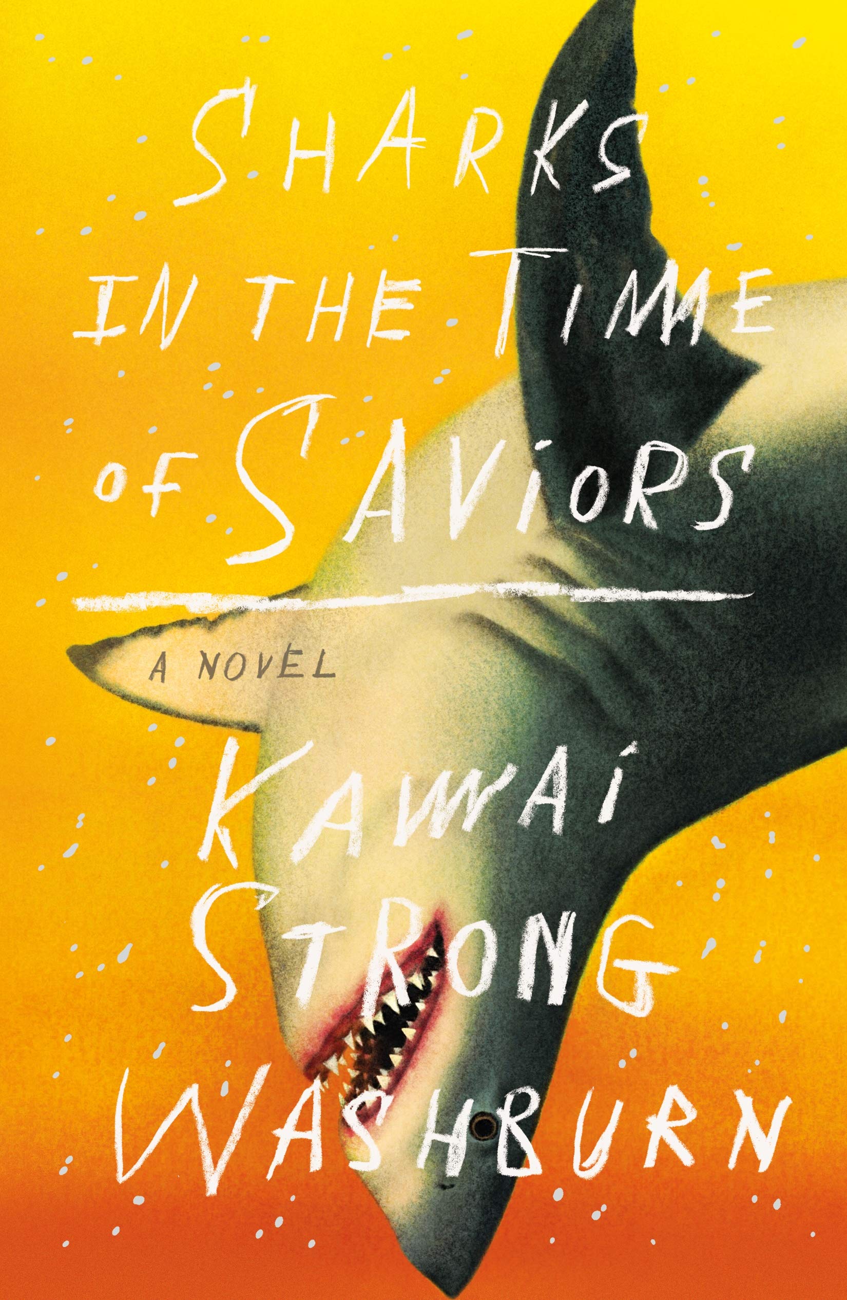 Sharks in the Time of Saviors Contemporary literature