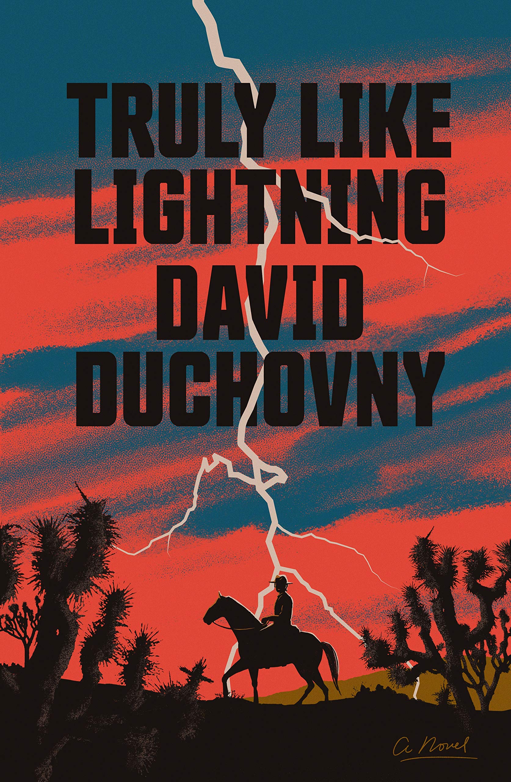 Truly Like Lightning Contemporary literature Books