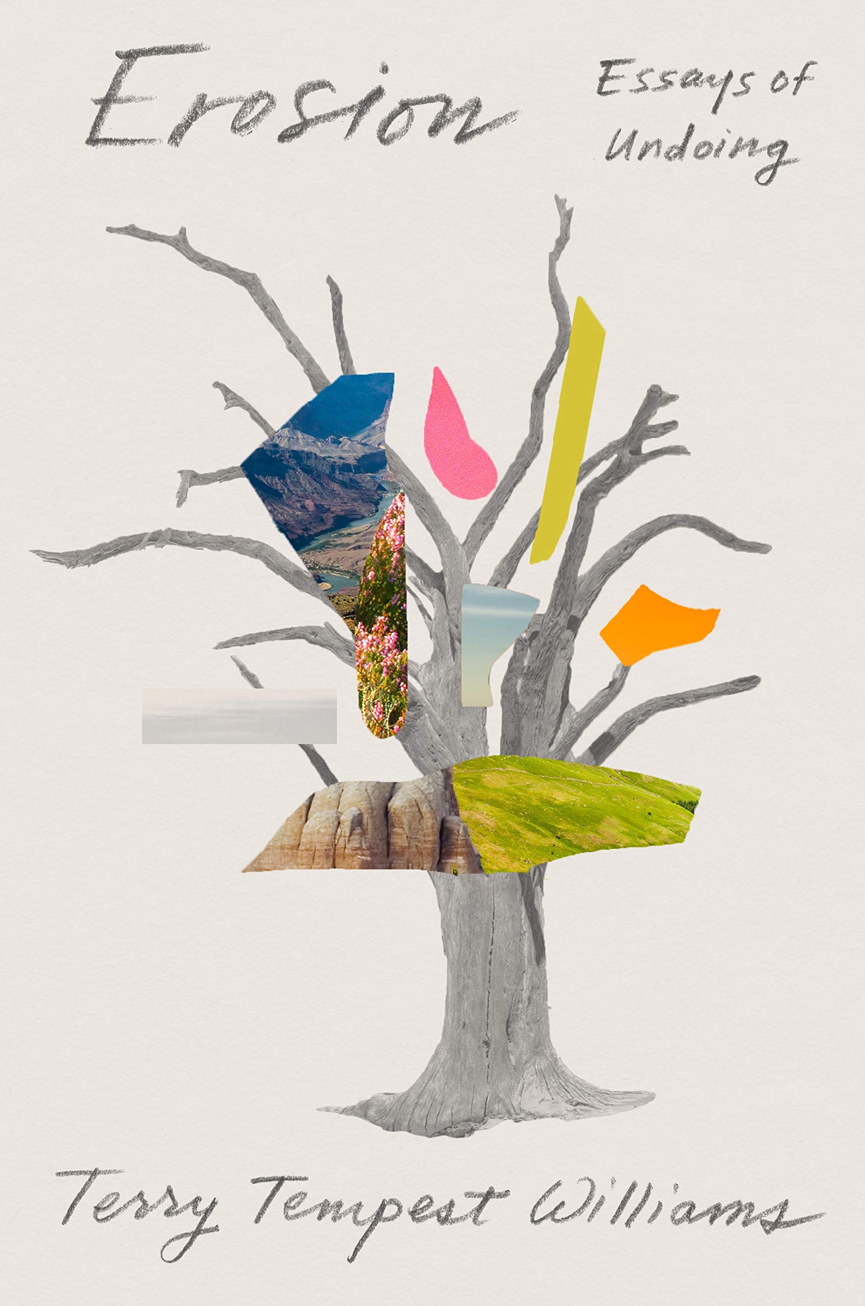 Erosion: Essays of Undoing Mathematics