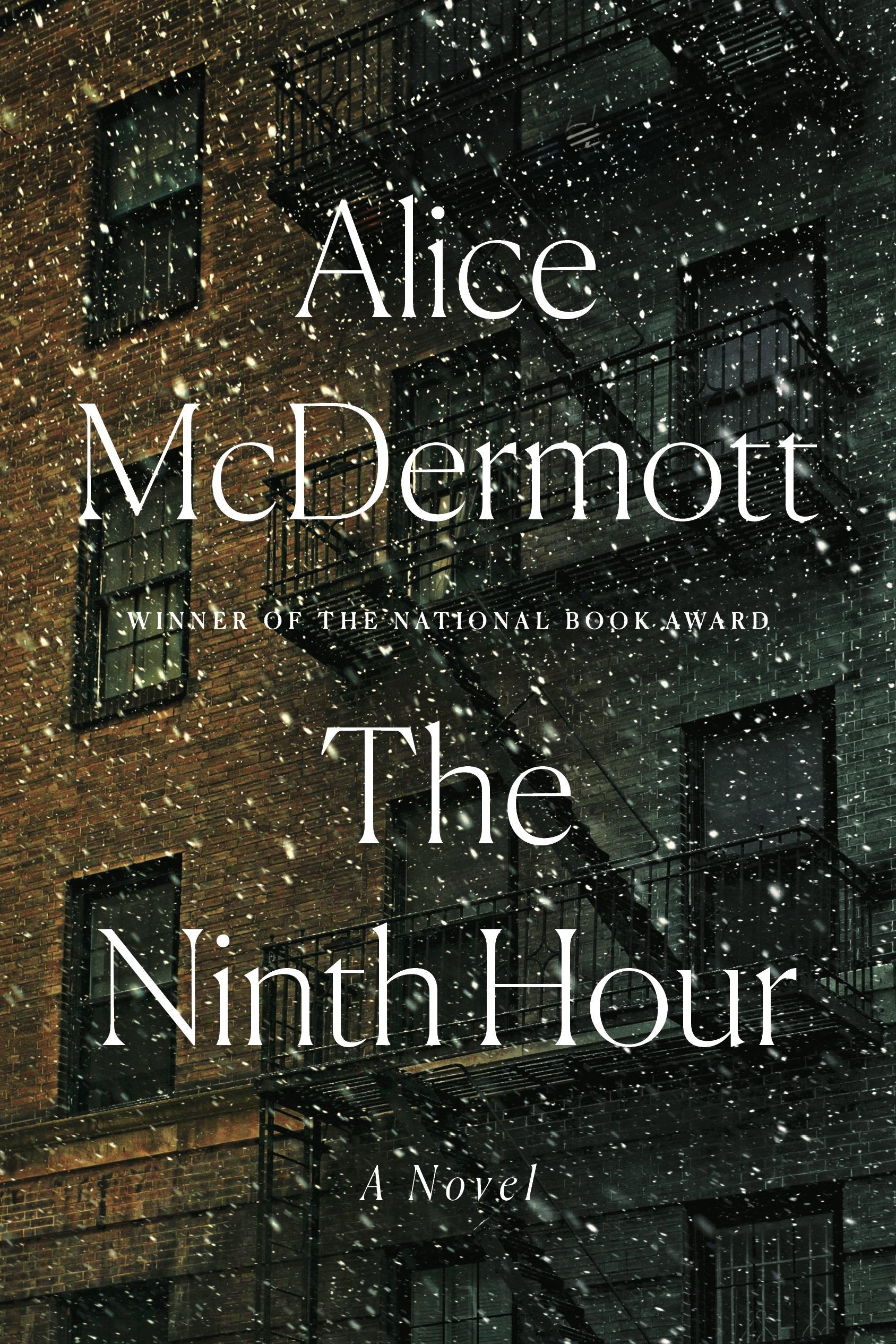 The Ninth Hour Fiction Books