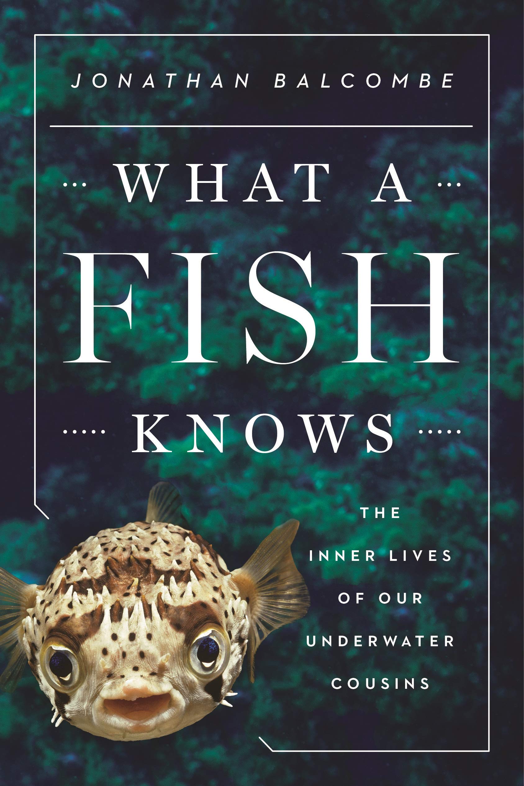 What a Fish Knows: The Inner Lives of Our Underwater Cousins Mathematics