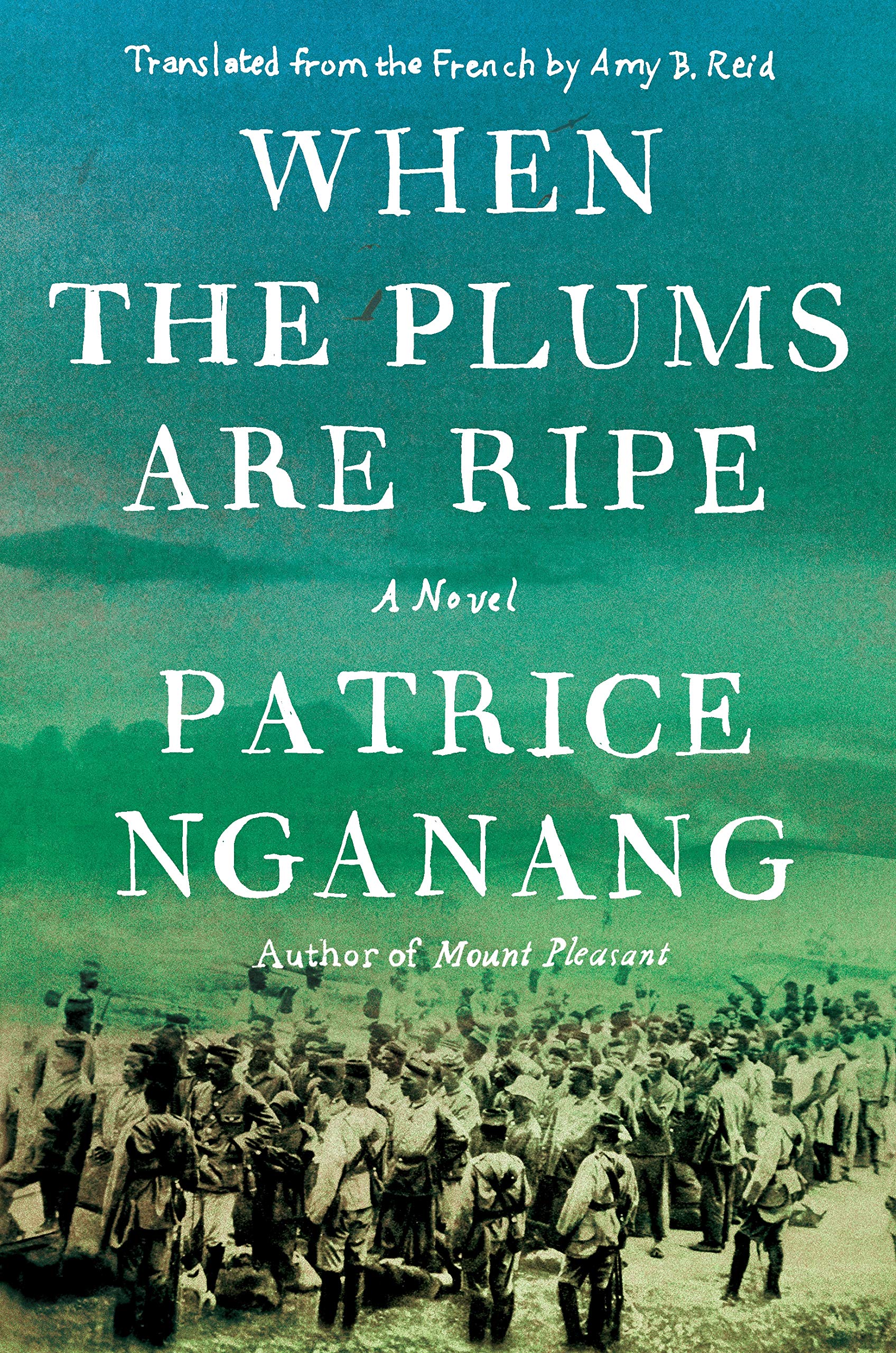 When the Plums Are Ripe book