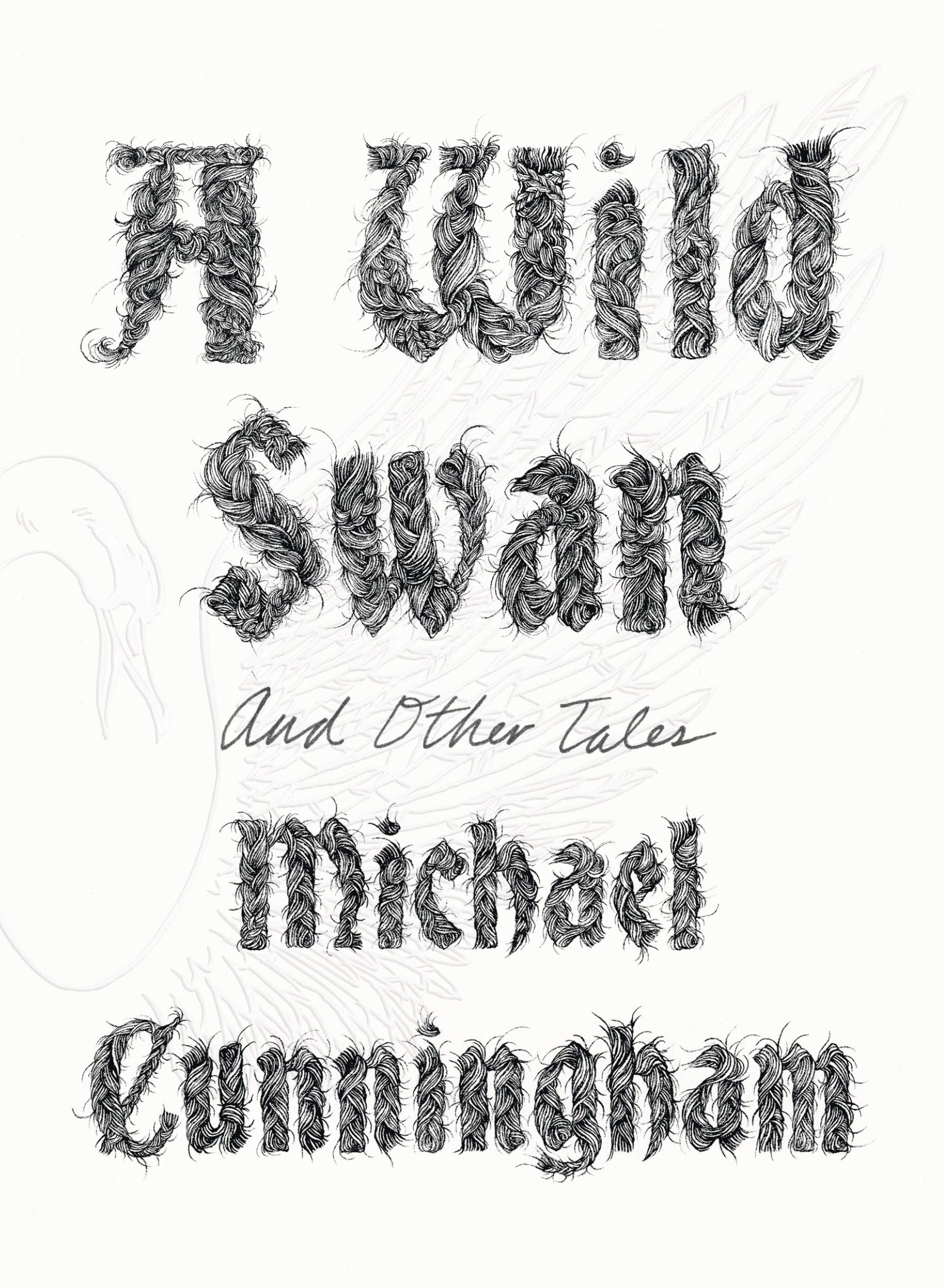 A Wild Swan: And Other Tales book