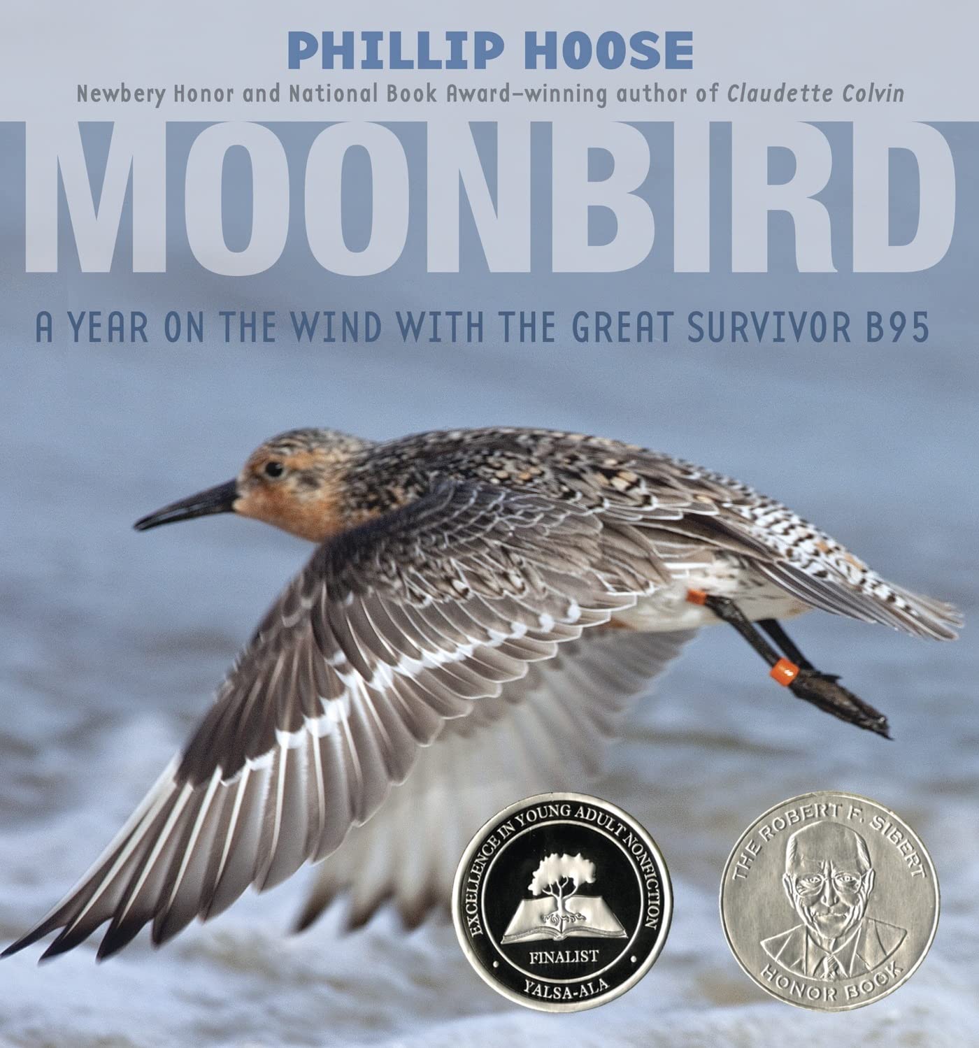 Moonbird Education