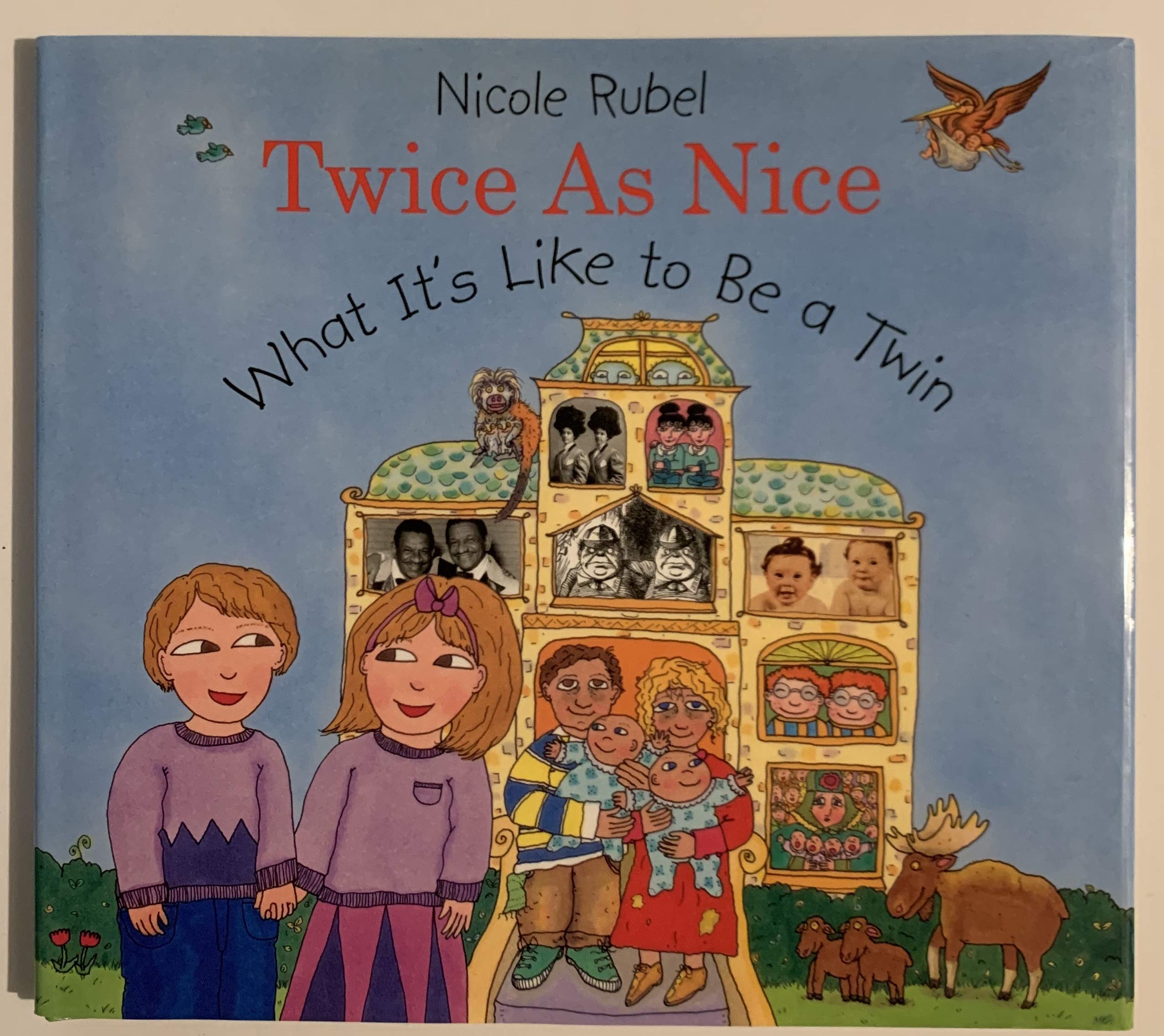 Twice As Nice: What It's Like to Be a Twin Non-fiction