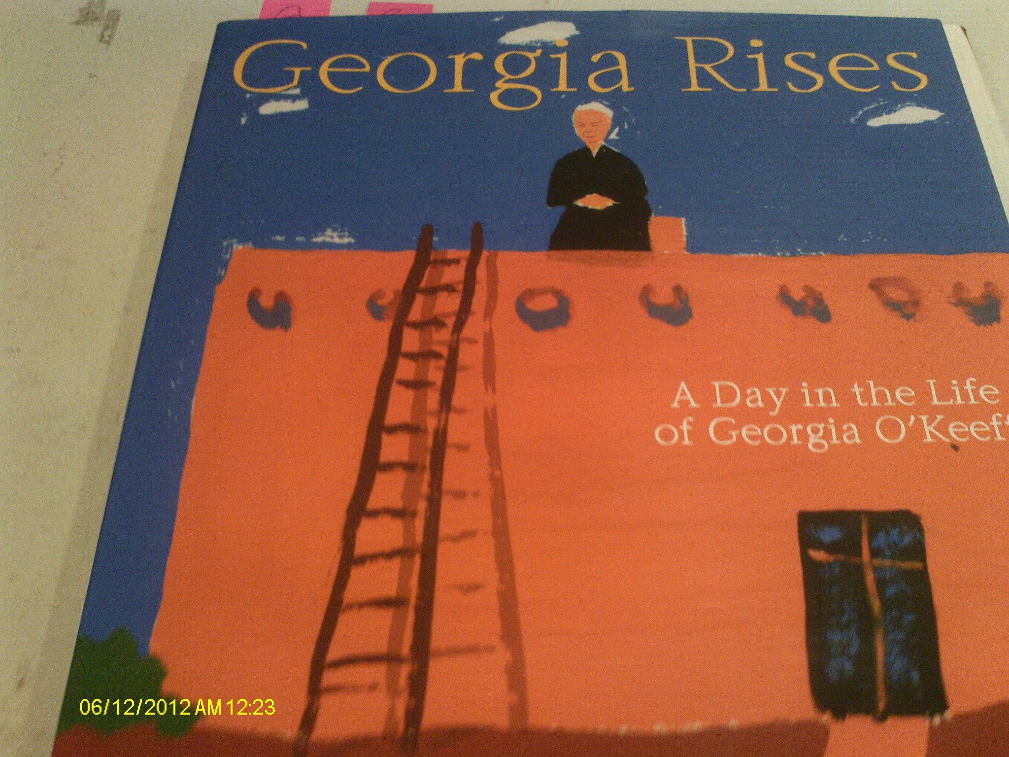 Georgia Rises: A Day in the Life of Georgia O'keeffe book