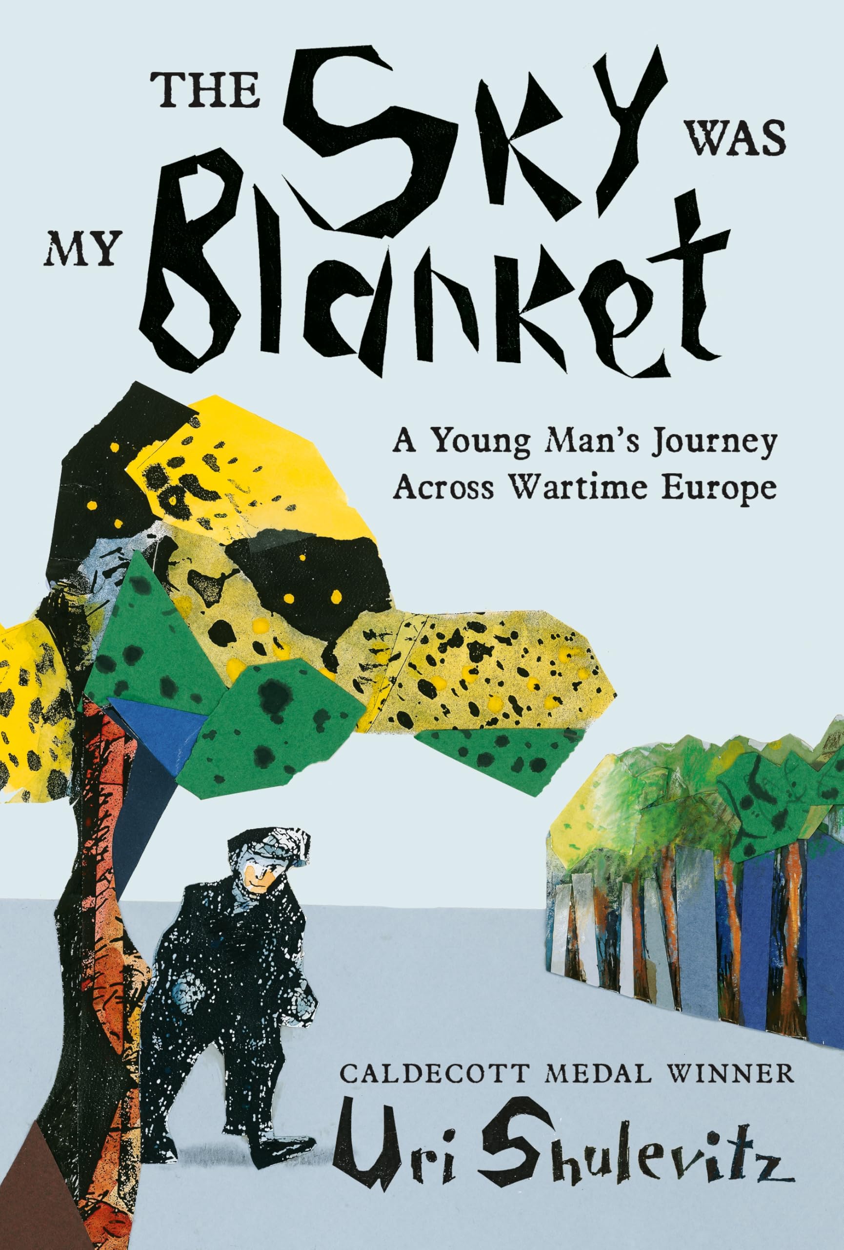 The Sky Was My Blanket: A Young Man's Journey Across Wartime Europe German history
