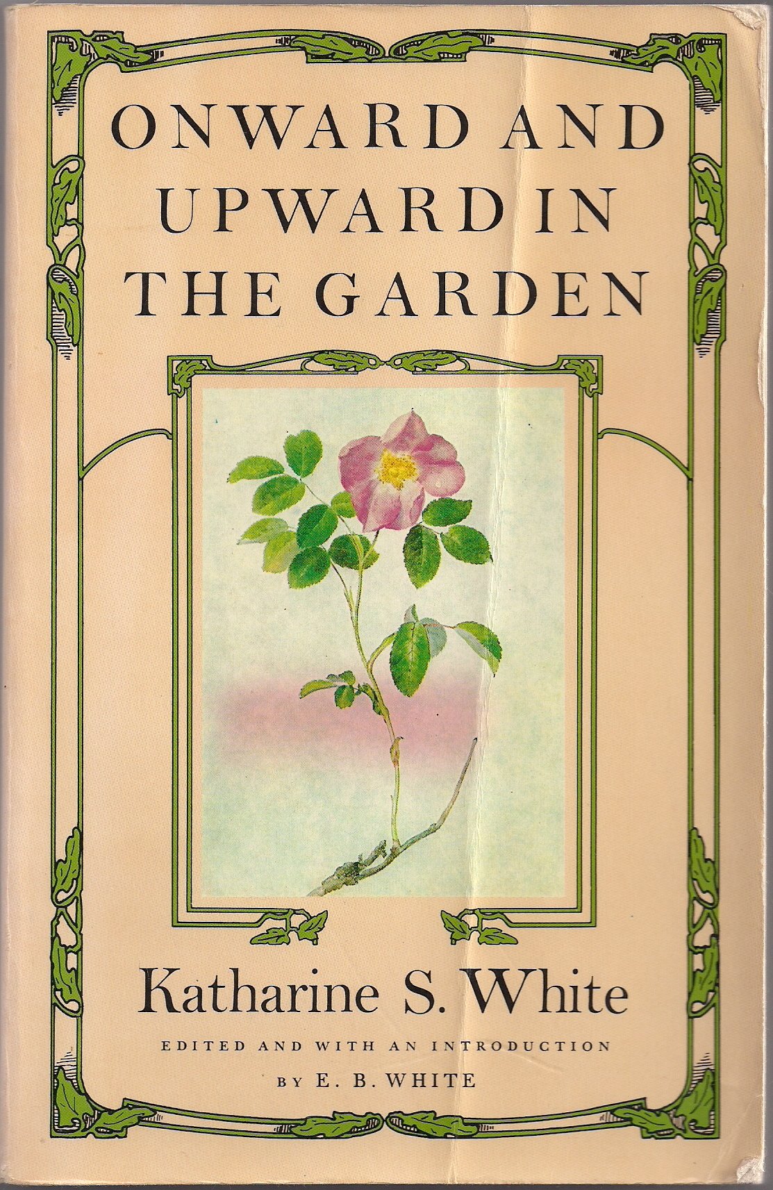 Onward and Upward in the Garden Garden & Plants