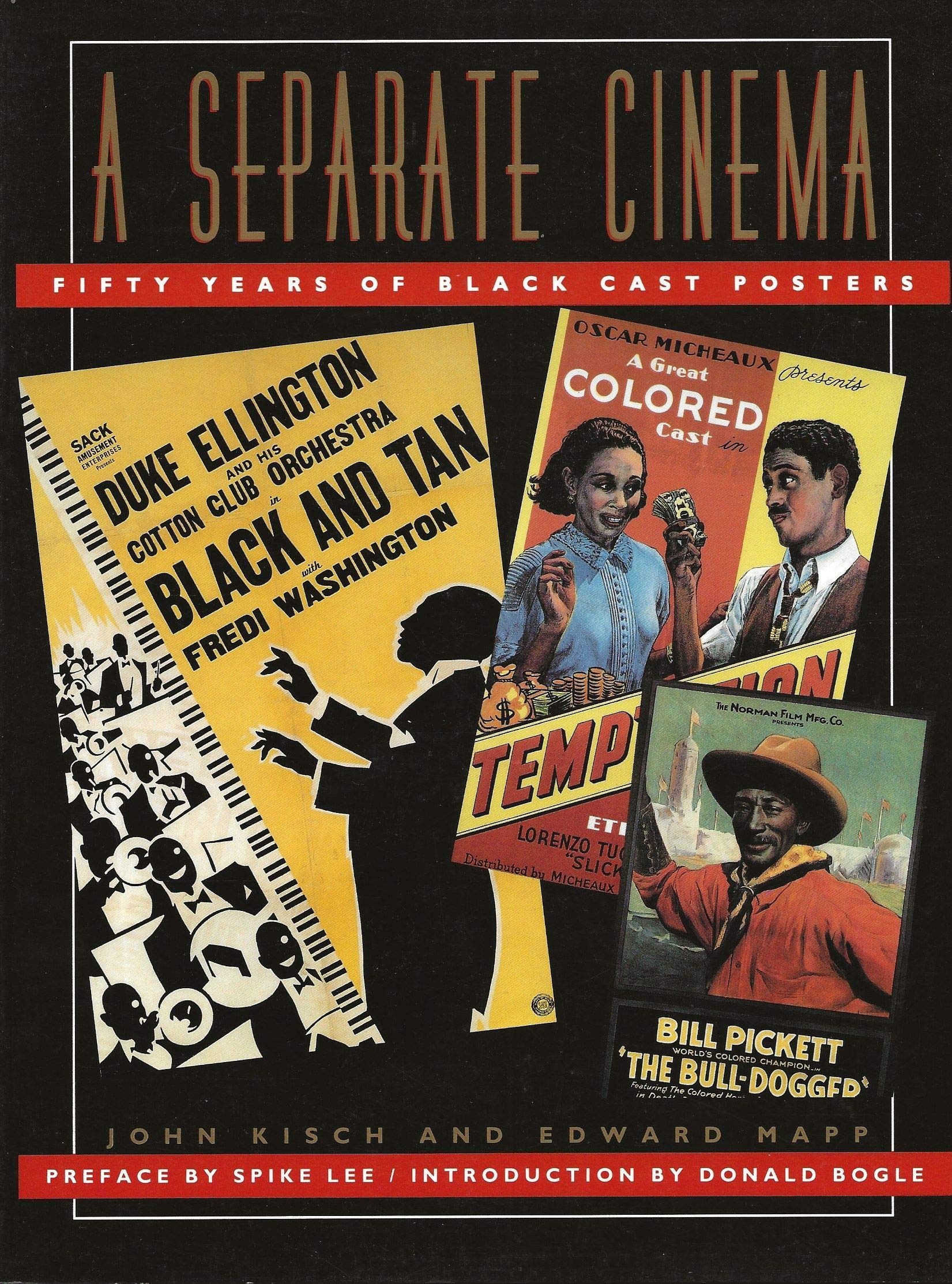 A Separate Cinema: Fifty Years of Black-Cast Posters book