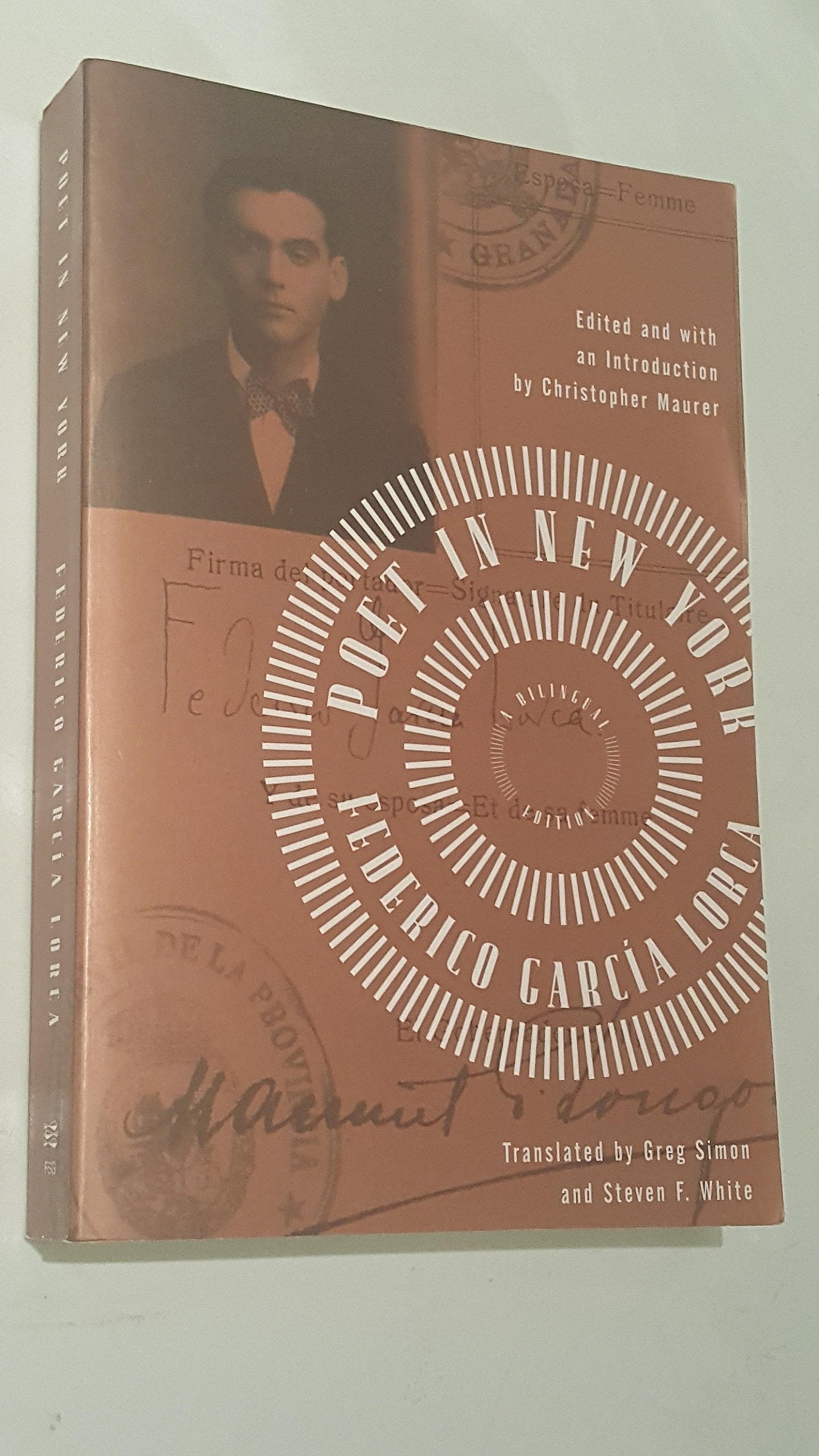 Poet in New York: A Bilingual Edition book