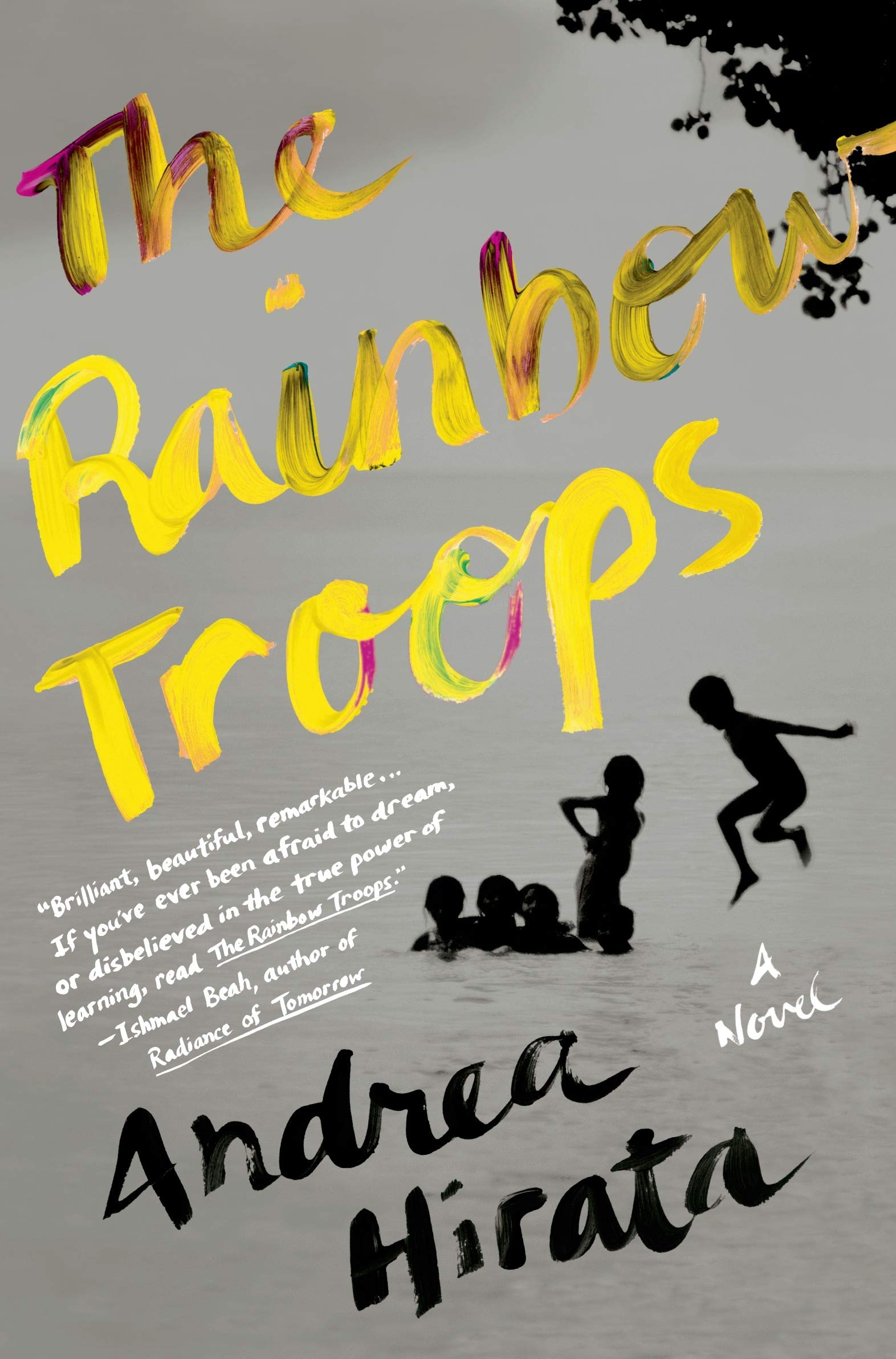 The Rainbow Troops Contemporary literature Books