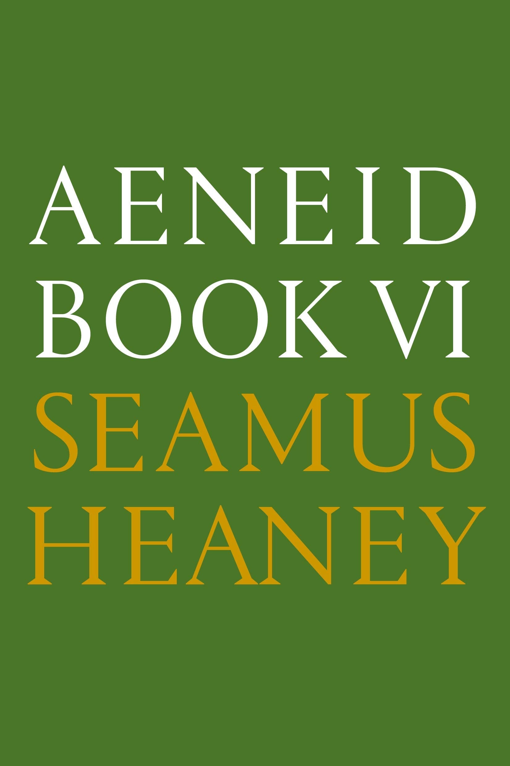 Aeneid Book VI: A New Verse Translation: Bilingual Edition Poetry