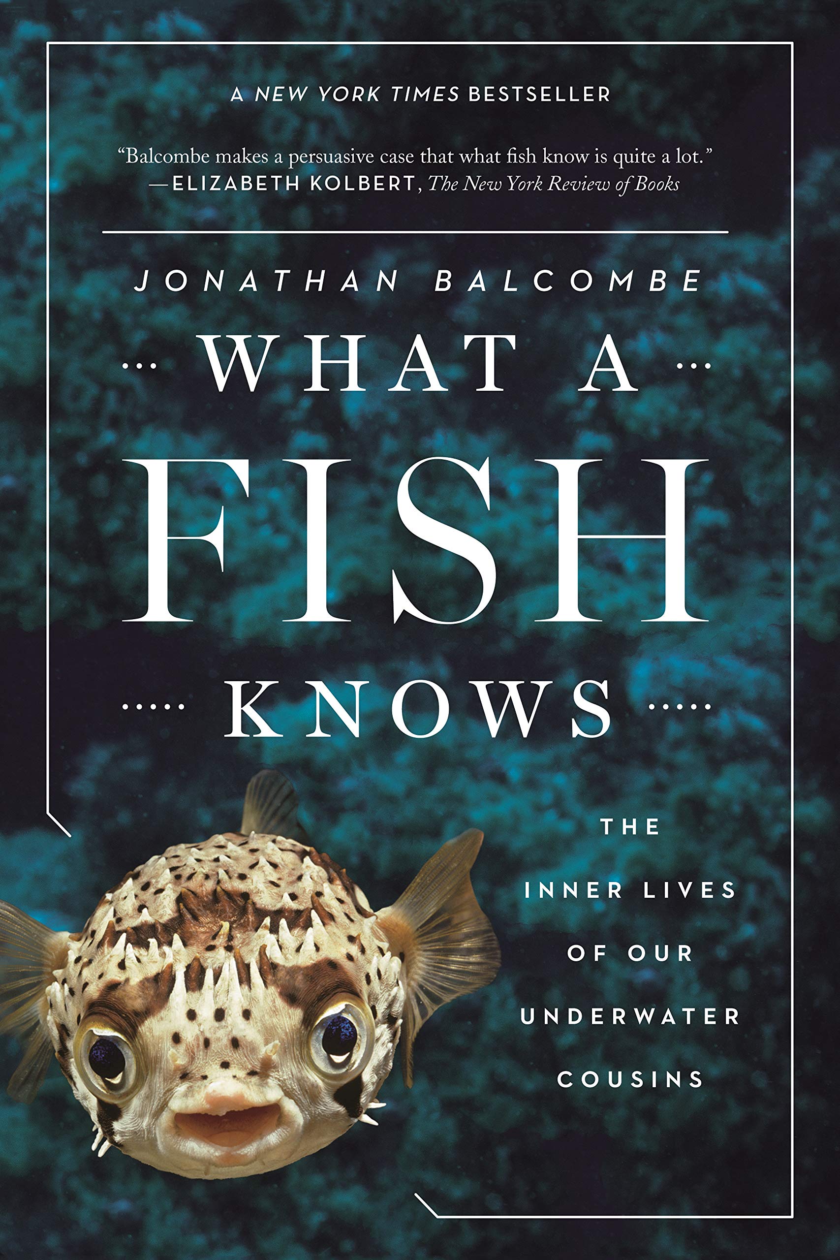 What a Fish Knows: The Inner Lives of Our Underwater Cousins Mathematics