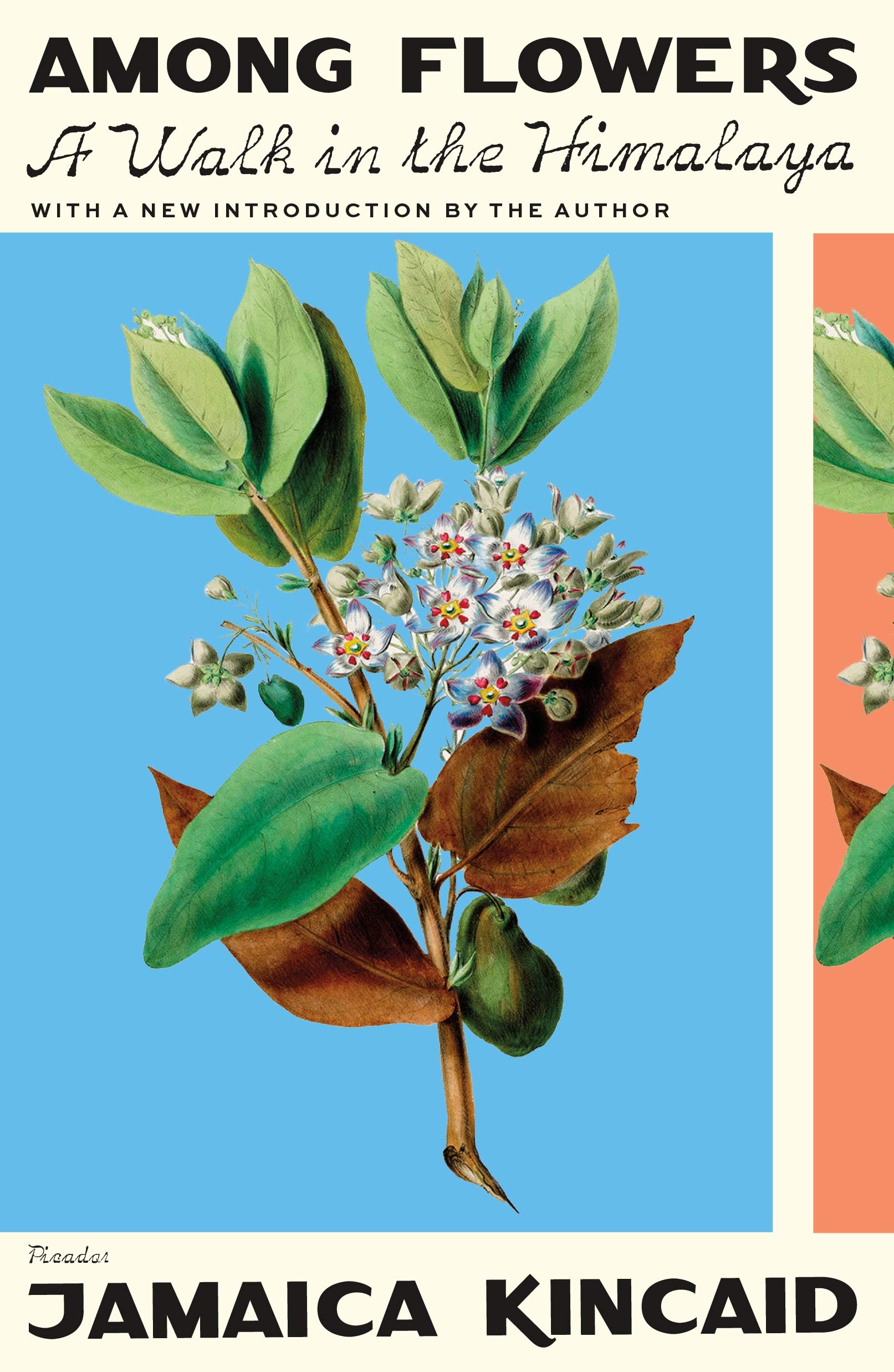 Among Flowers: A Walk in the Himalaya Art & Literature