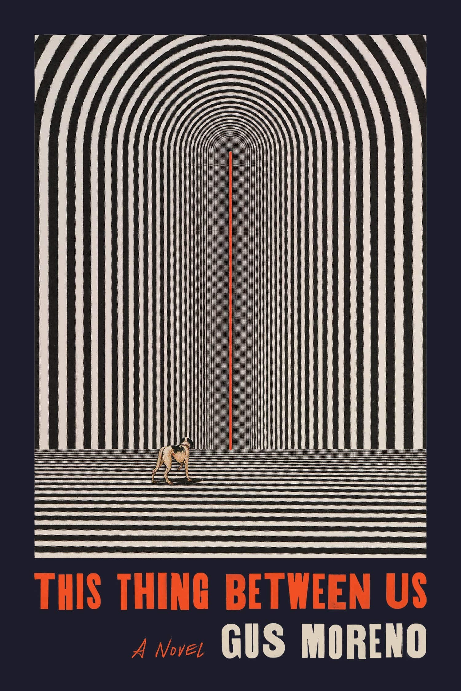 This Thing Between Us: A Novel, Nominiert: NPR Best Book of the Year 2021, Nominiert: NYPL Best Books of the Year 2021, Nominiert: VCU Cabell First Novelist Winner 2022 Contemporary literature