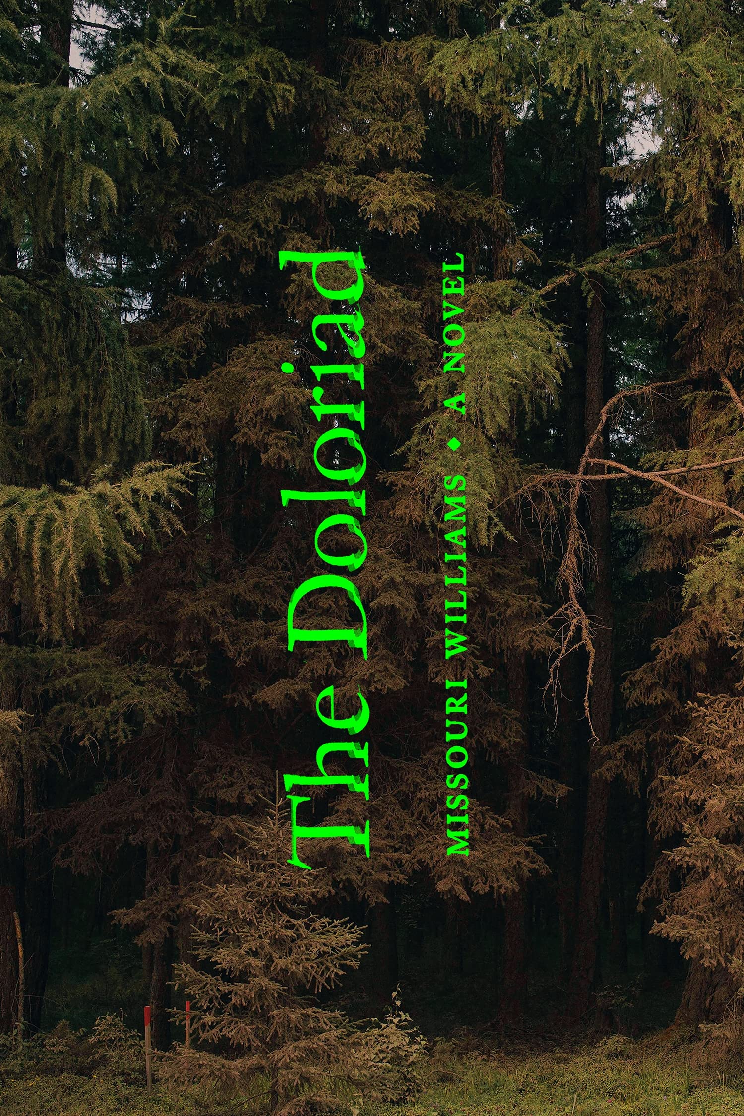 The Doloriad: A Novel Contemporary literature