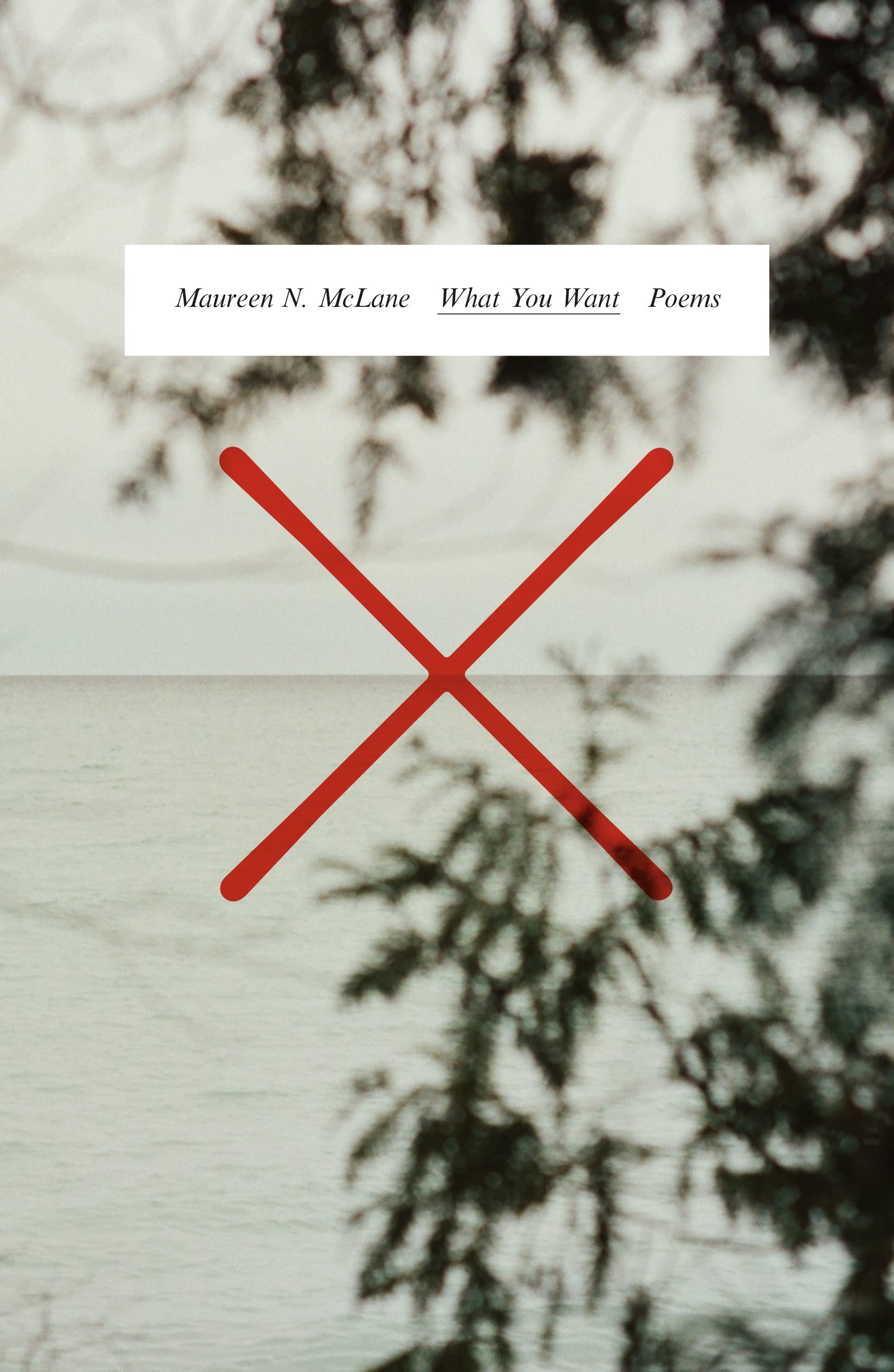 What You Want: Poems Poetry