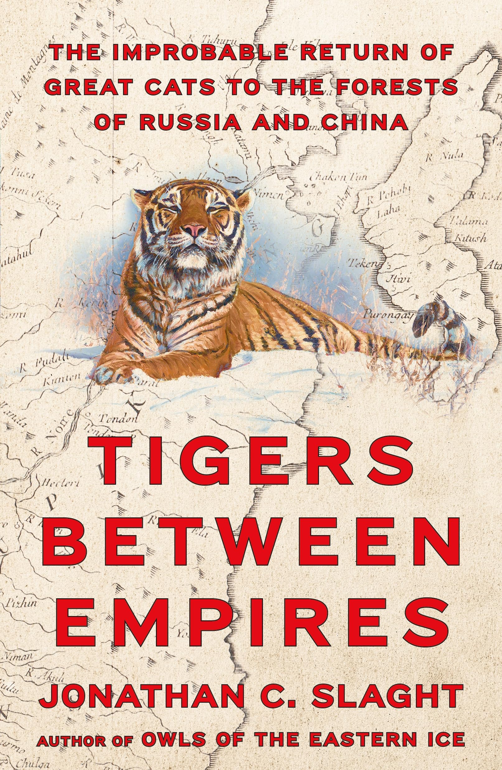 Tigers Between Empires: The Improbable Return of Great Cats to the Forests of Russia and China Mathematics