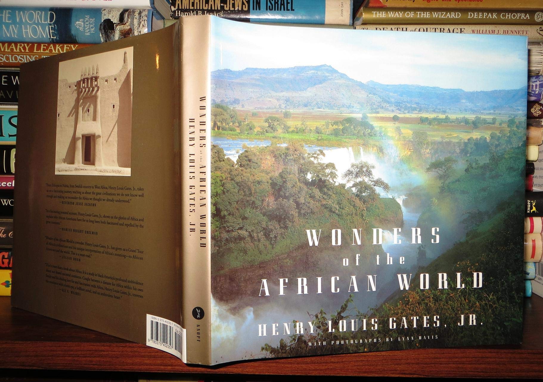Wonders of the African World Politics & History