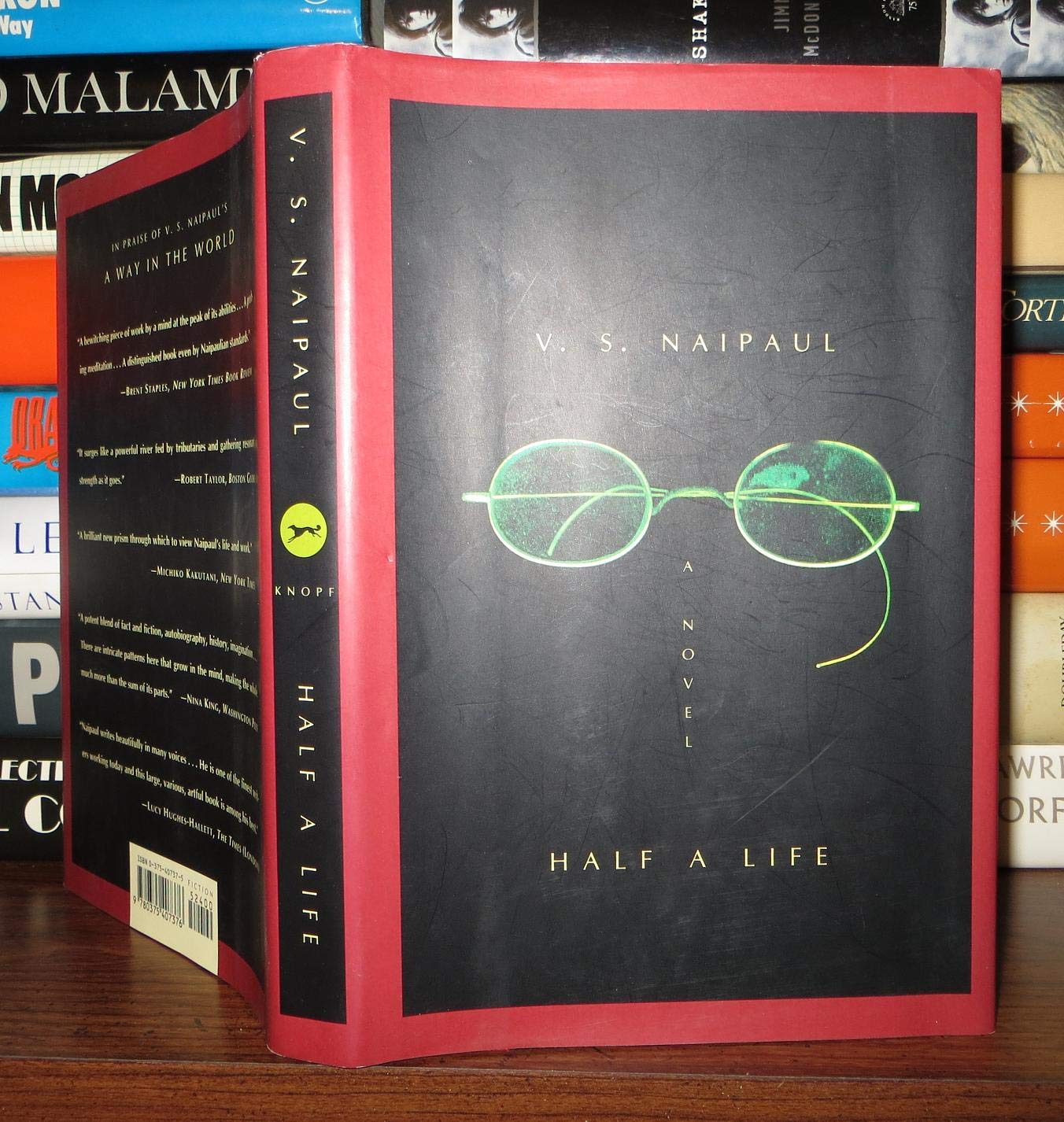 Half a Life Contemporary literature Books