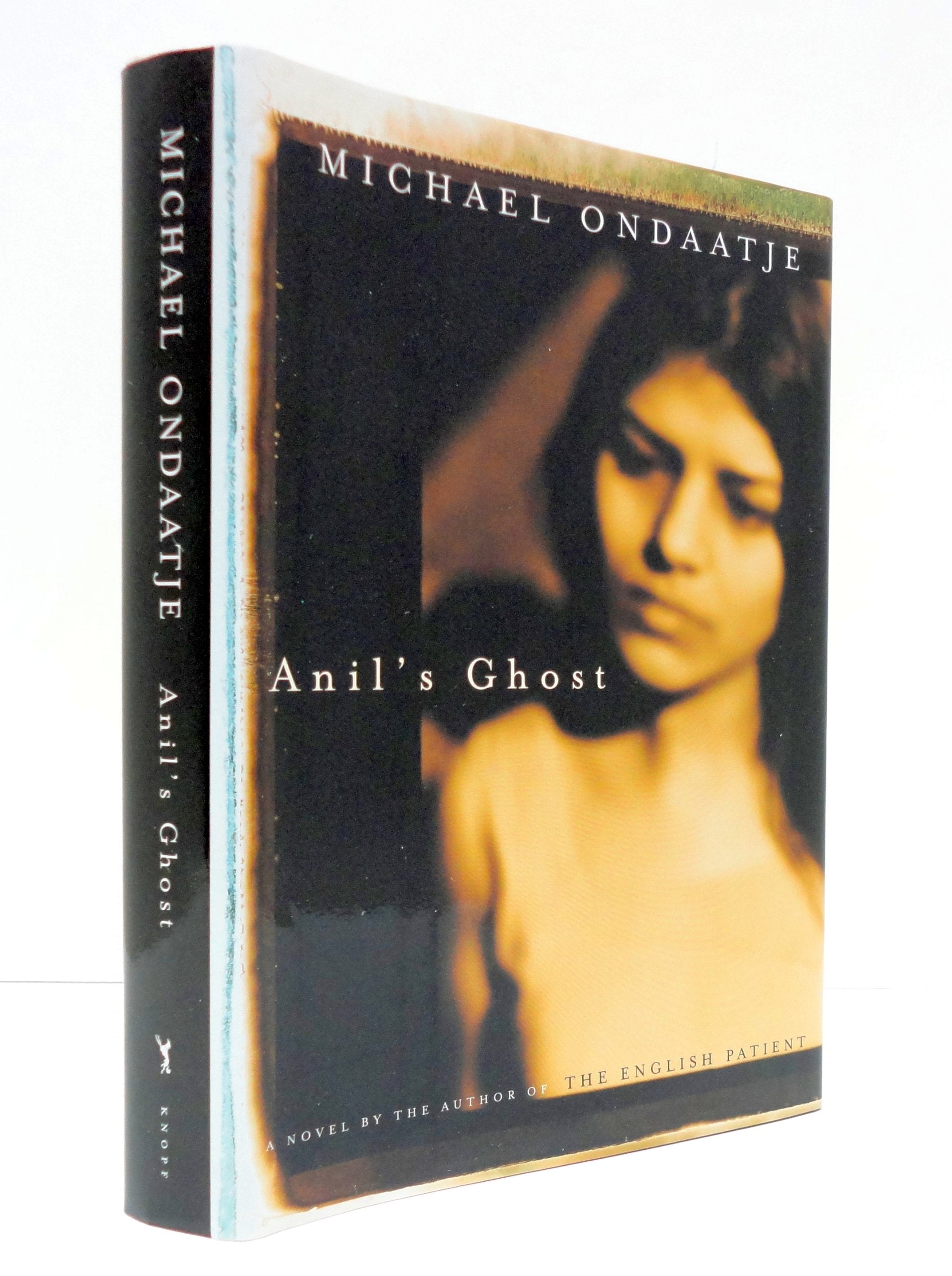 Anil's Ghost Contemporary literature Books
